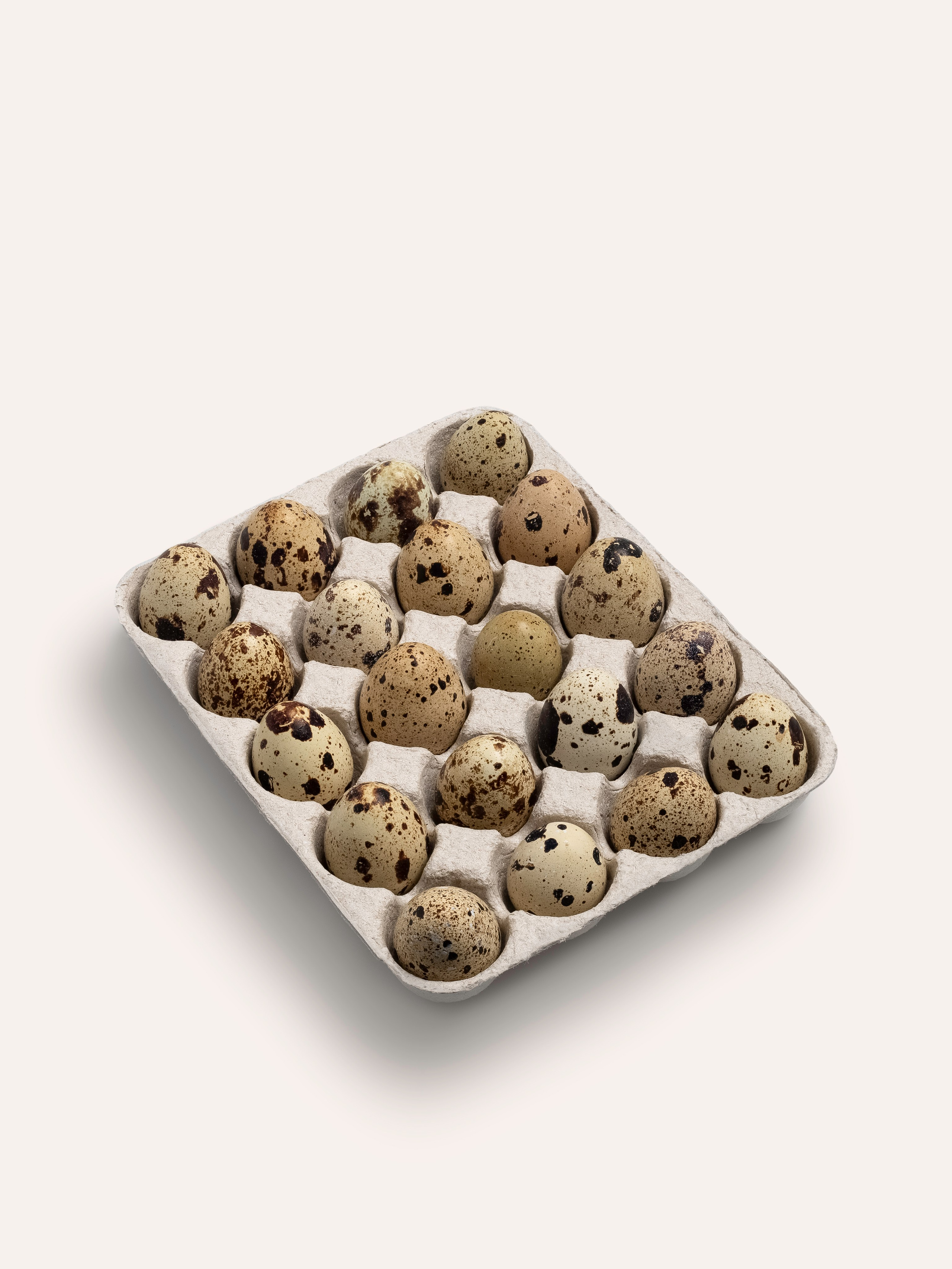 Каталожная съемка для маркетплейсов. Фотограф в Москве | Синицына Тамара