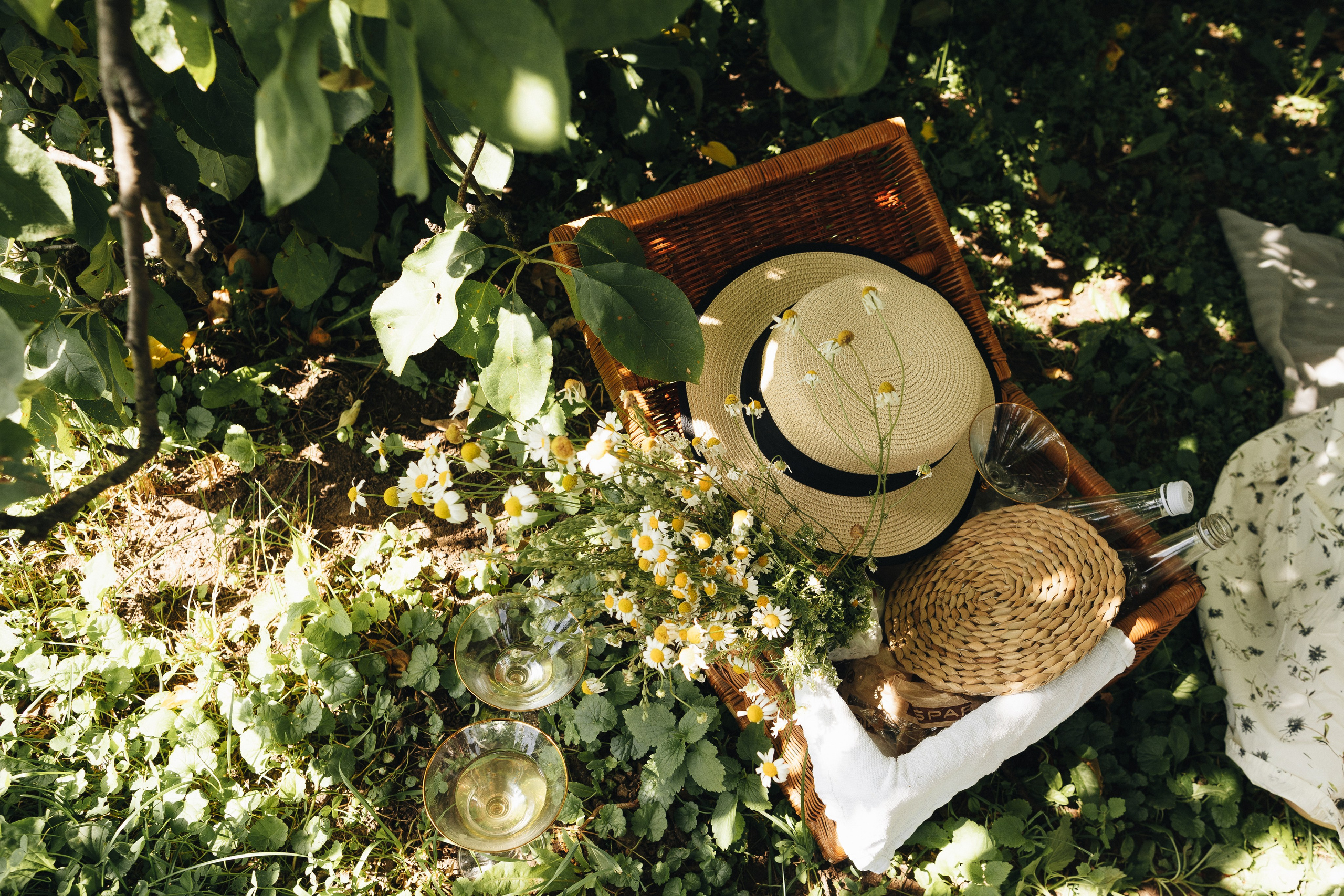 Пикник 2024 парк Коломенское. Портретный фотограф в Москве и МО Зимина Татьяна