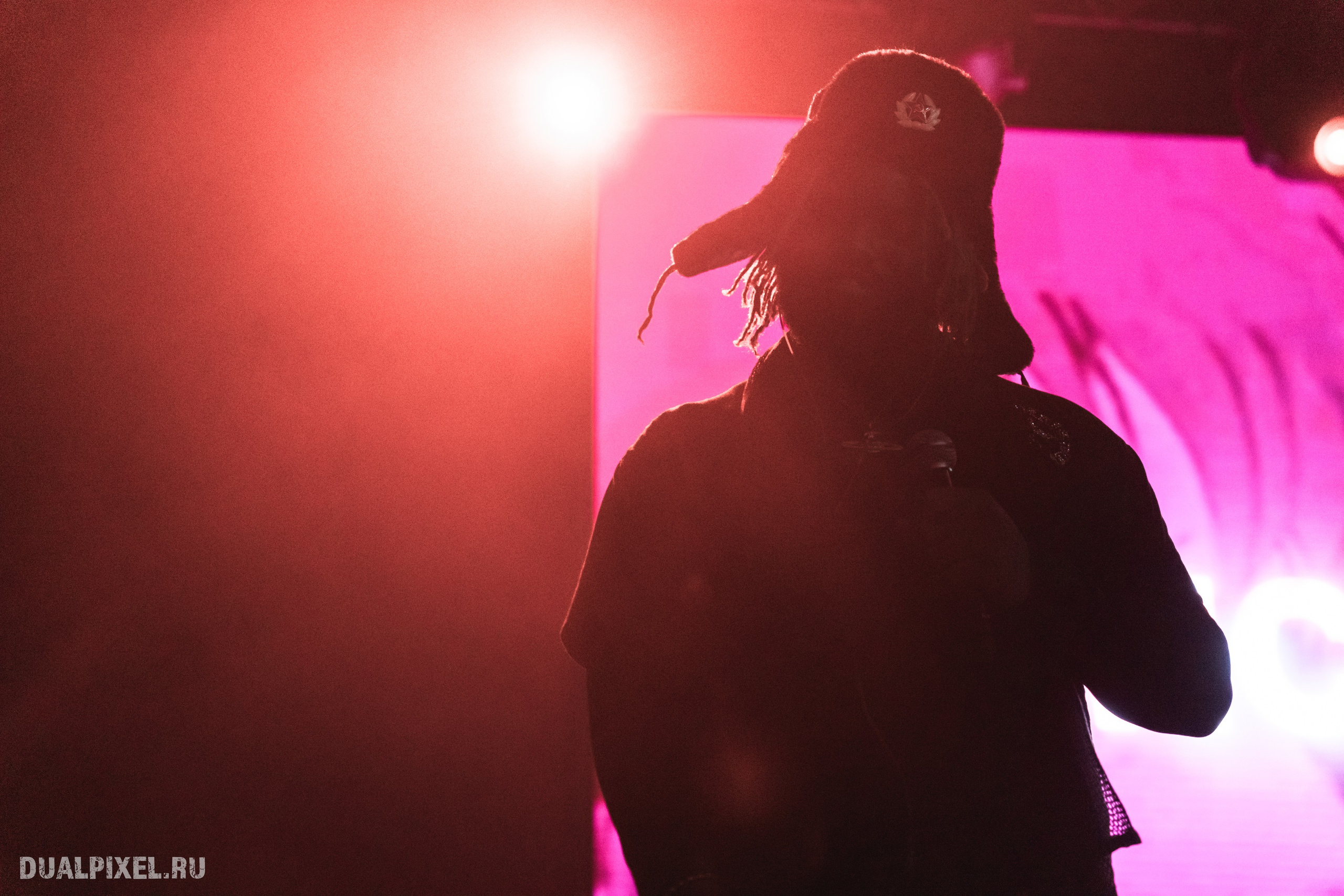 Prince Of Falls. Магия музыки в кадре: Концертная Фотография