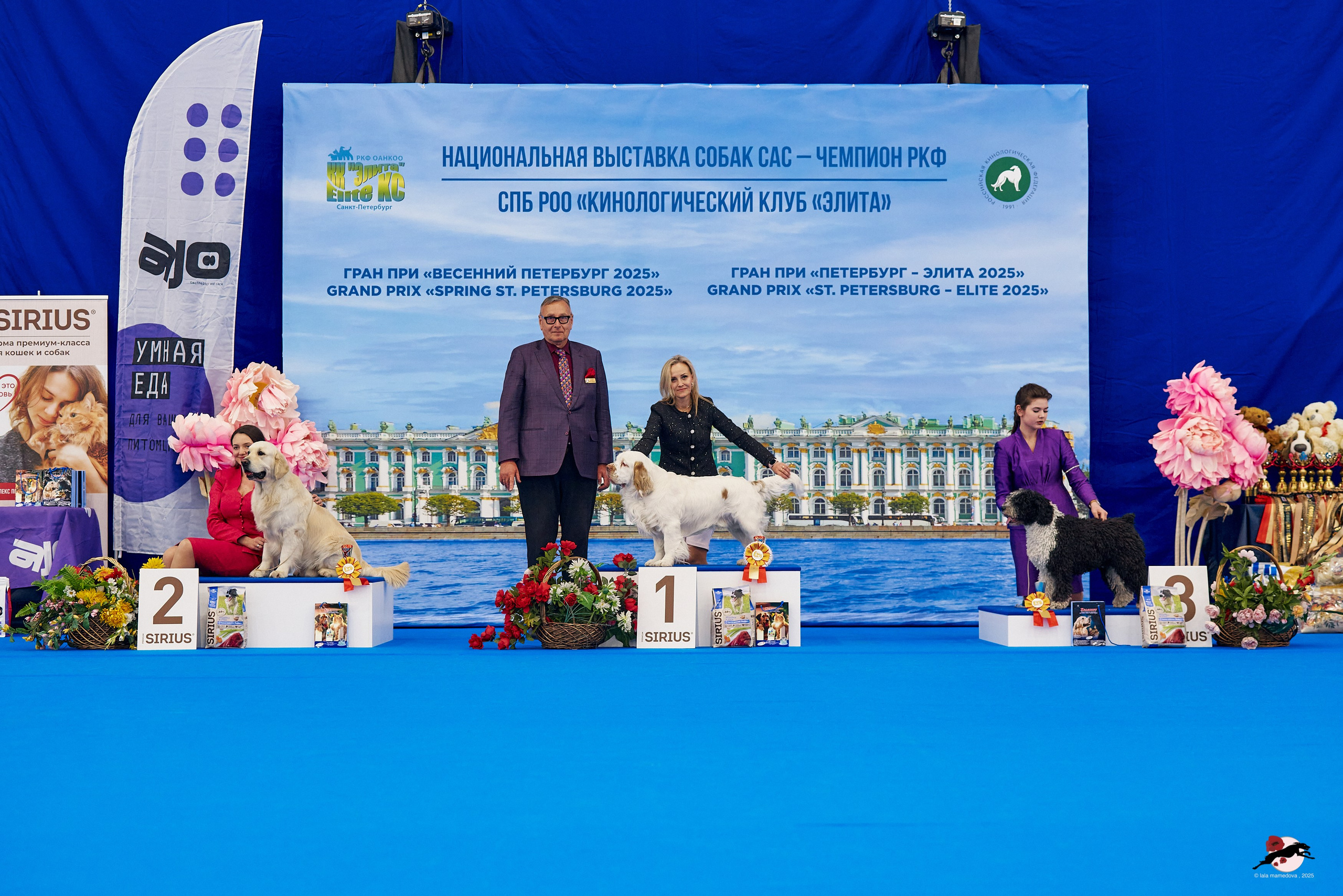 27.04.2025 | "Петербург-Элита 2025" & «КУБОК «ЭЛИТЫ»-2025»