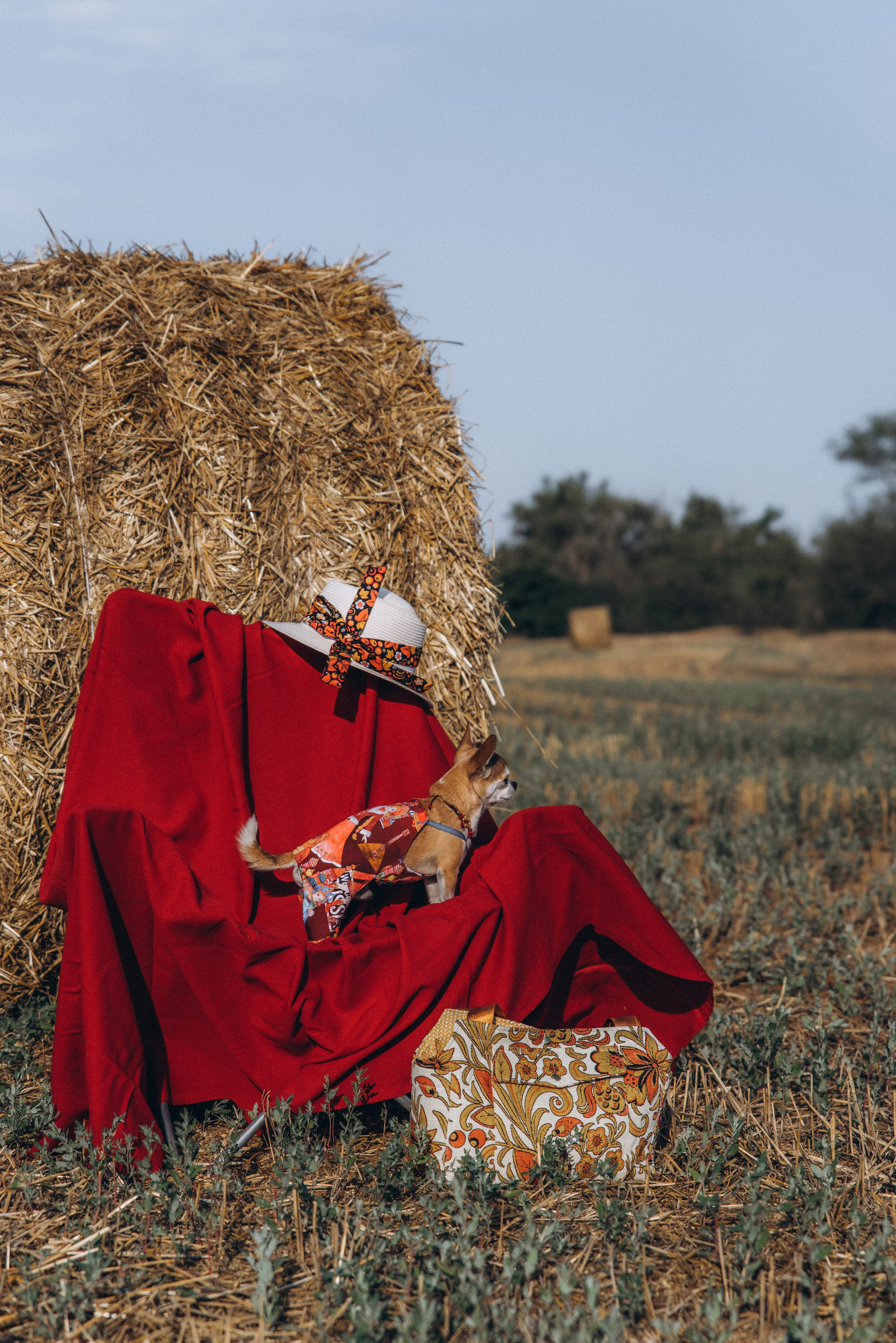ЛЕНА. Ольга Козлова фотограф Волгоград olkiny-fotki.ru