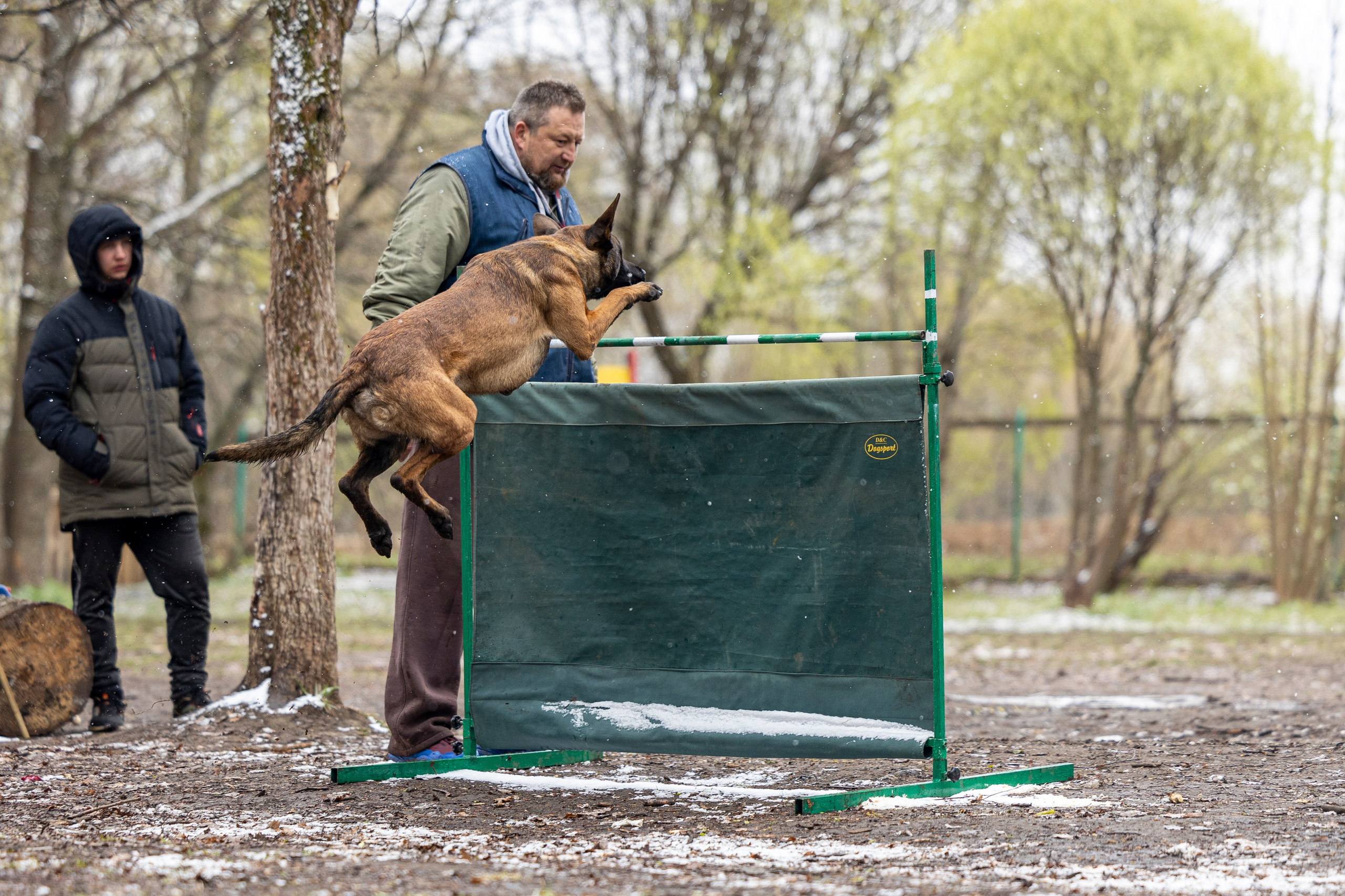 Квалификационные состязания по мондьорингу г. Вологда 11.05.24. Фотограф-анималист Анна Маринич