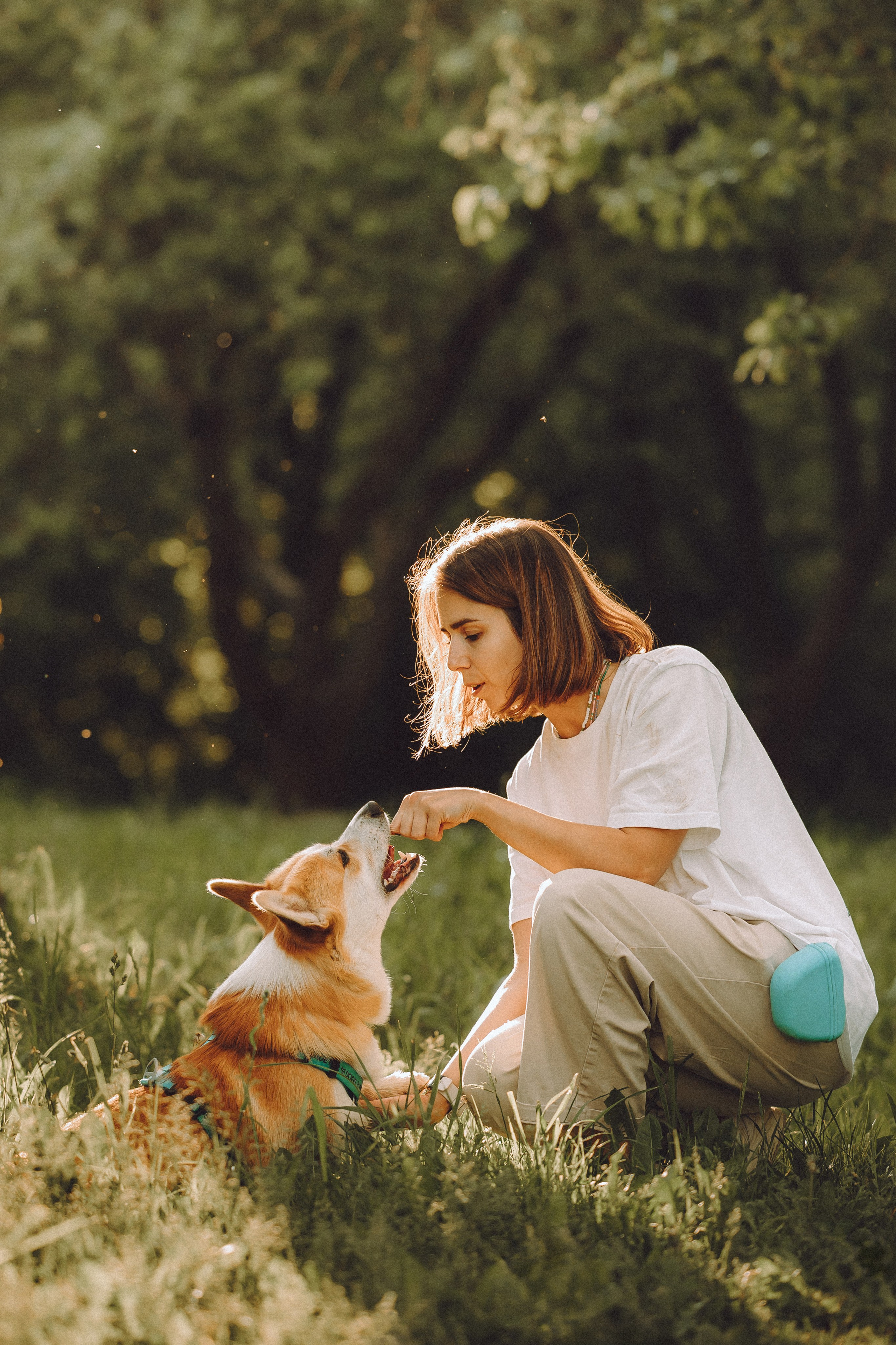 Вирджик и его семья