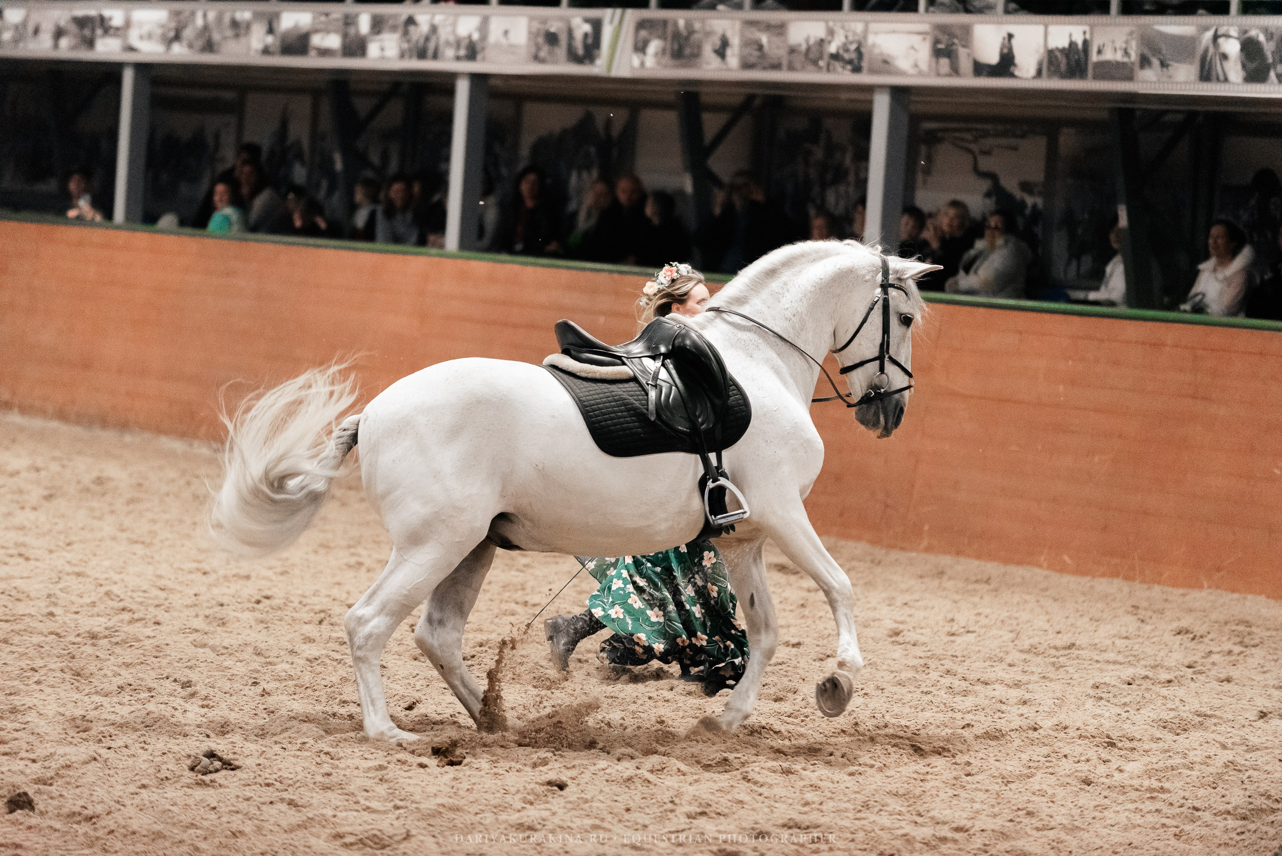 Конное представление «Дыхание Звёзд». Конный фотограф Куракина Дарья • Фотосессии с лошадьми