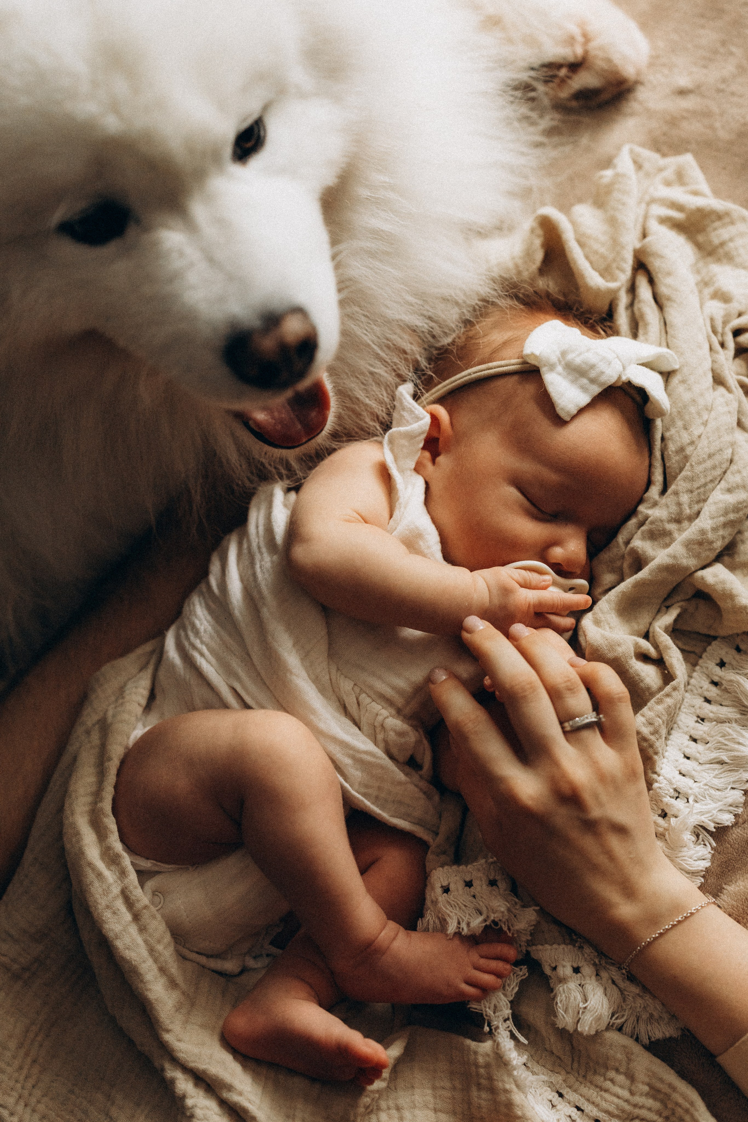 Василиса. Евгения Пелипас