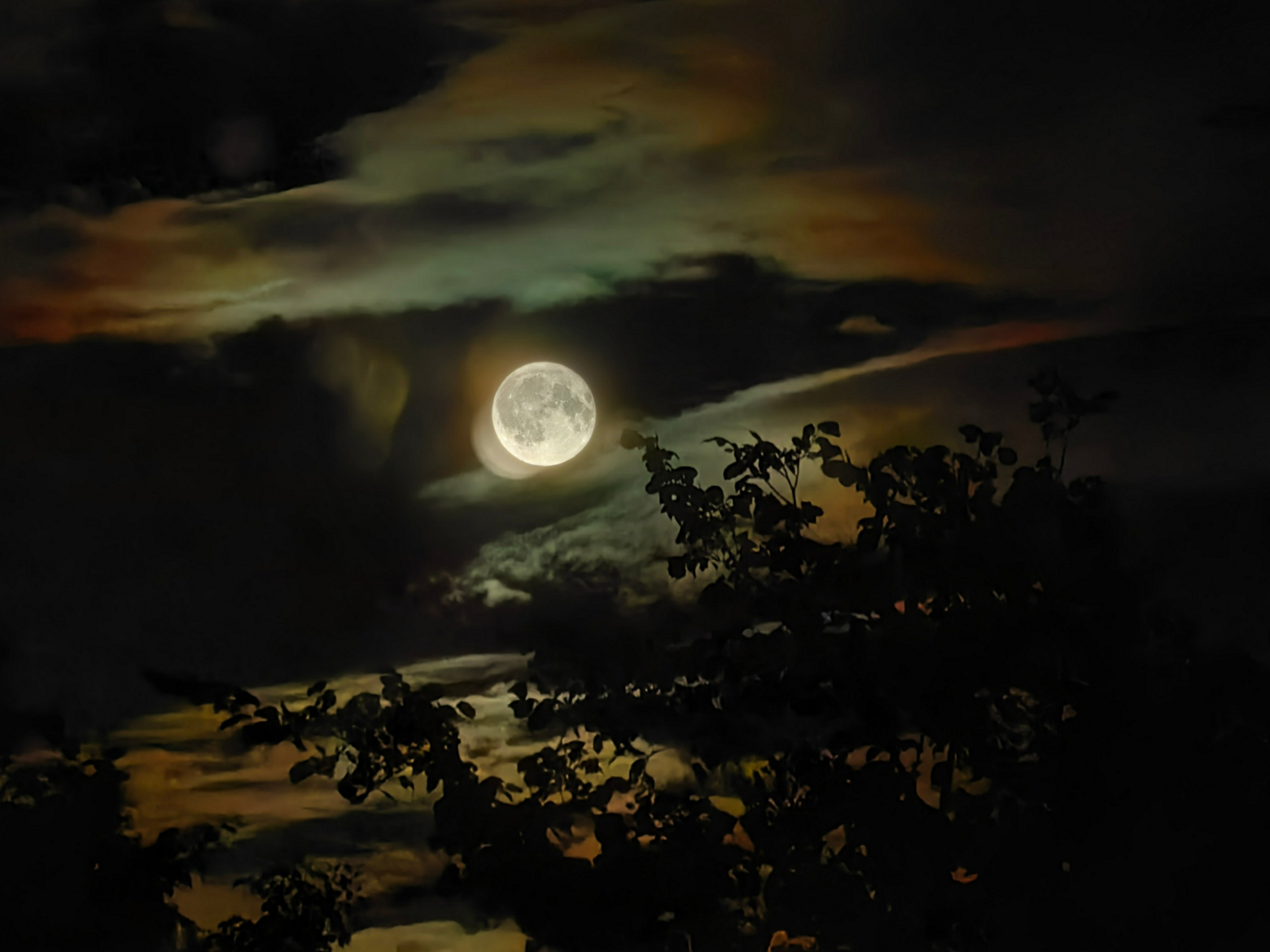 Галерея Huawei p60. Константин Устинов — фотограф