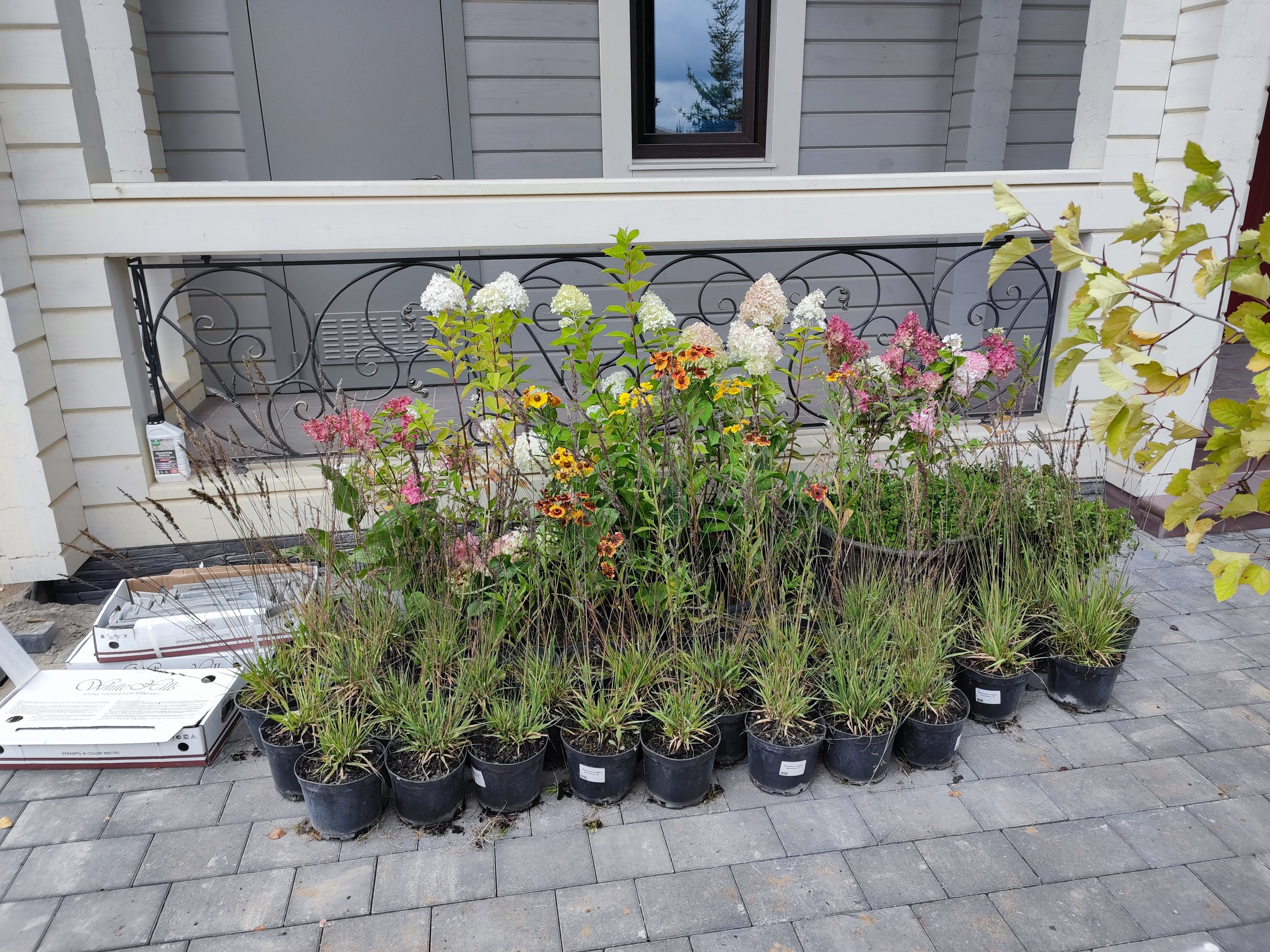 Подбор и посадка растений. Все виды ландшафтных и строительных работ