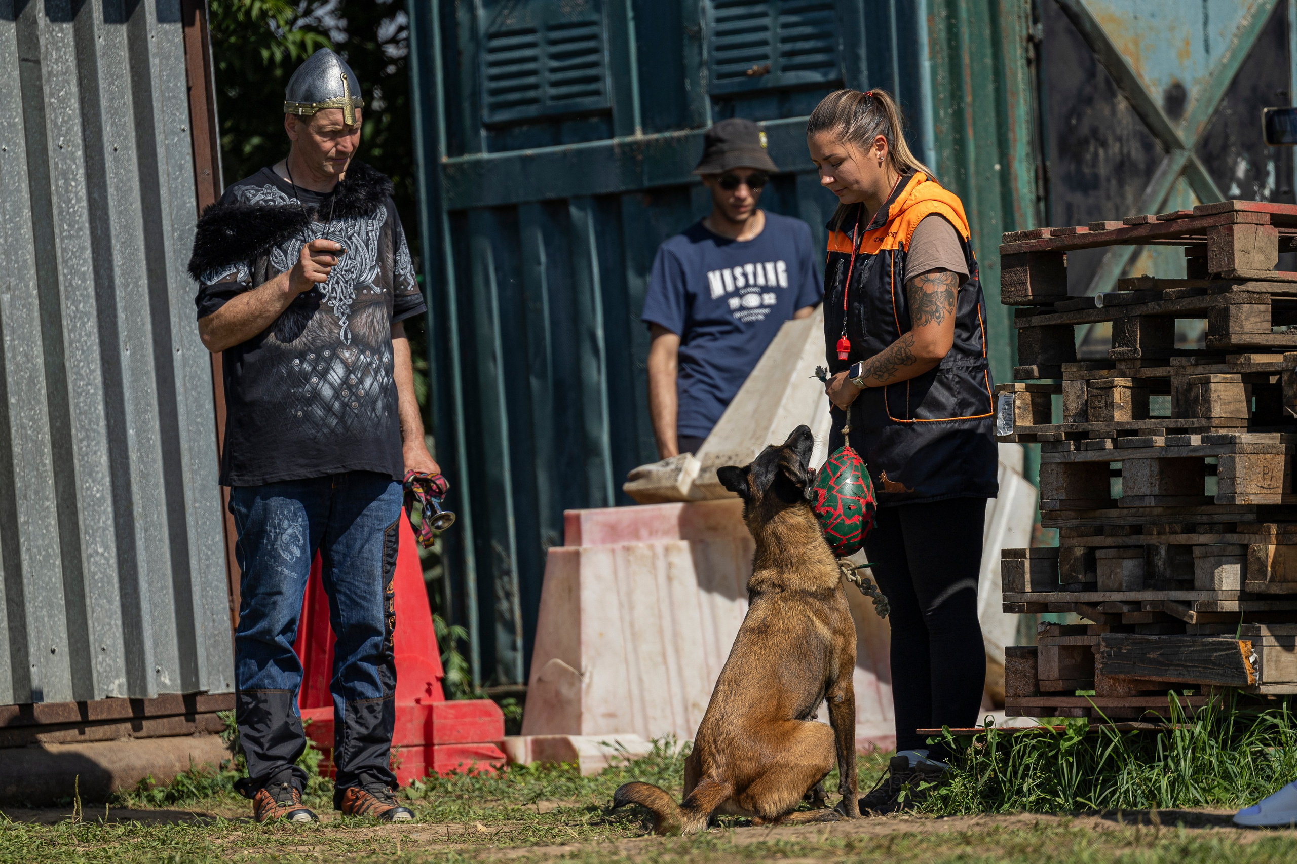 Соревнования по Мондьорингу г. Вологда 10-11.08.2024. Фотограф-анималист Анна Маринич