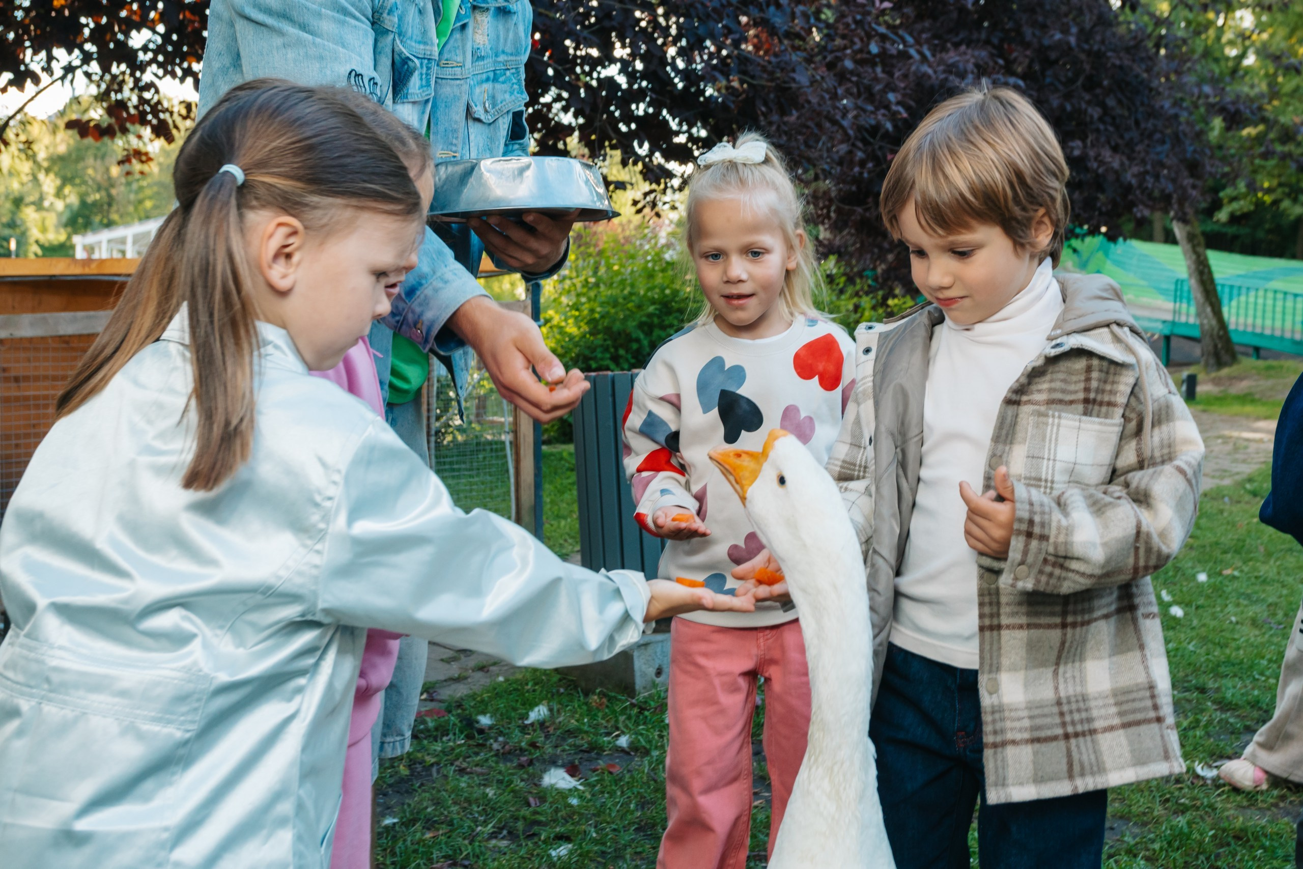 День рождения Марка. Андрей Партнов — фотогрраф, Москва
