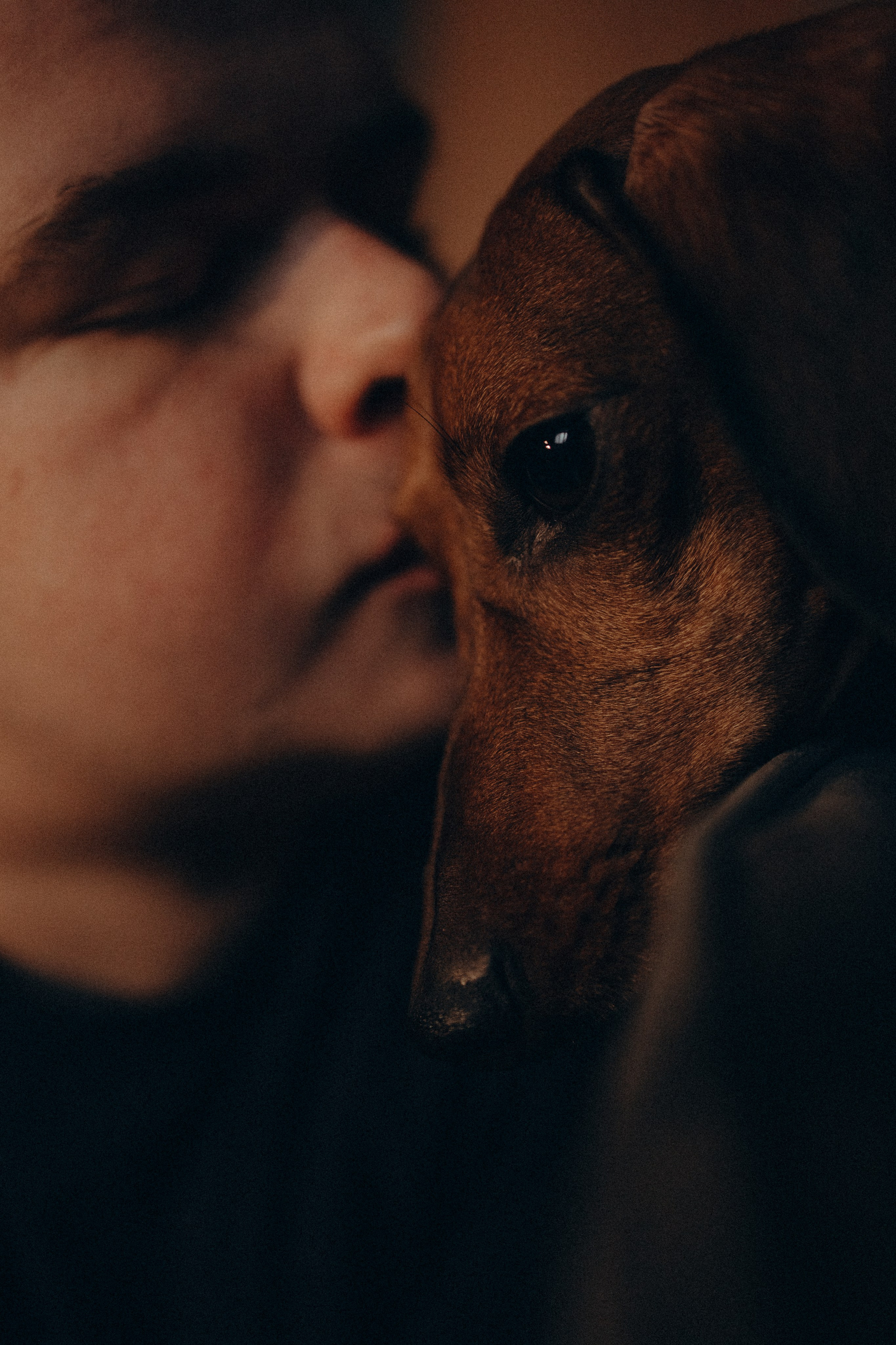 Маша и ее семья. Фотораф — анималист Мария Шистка