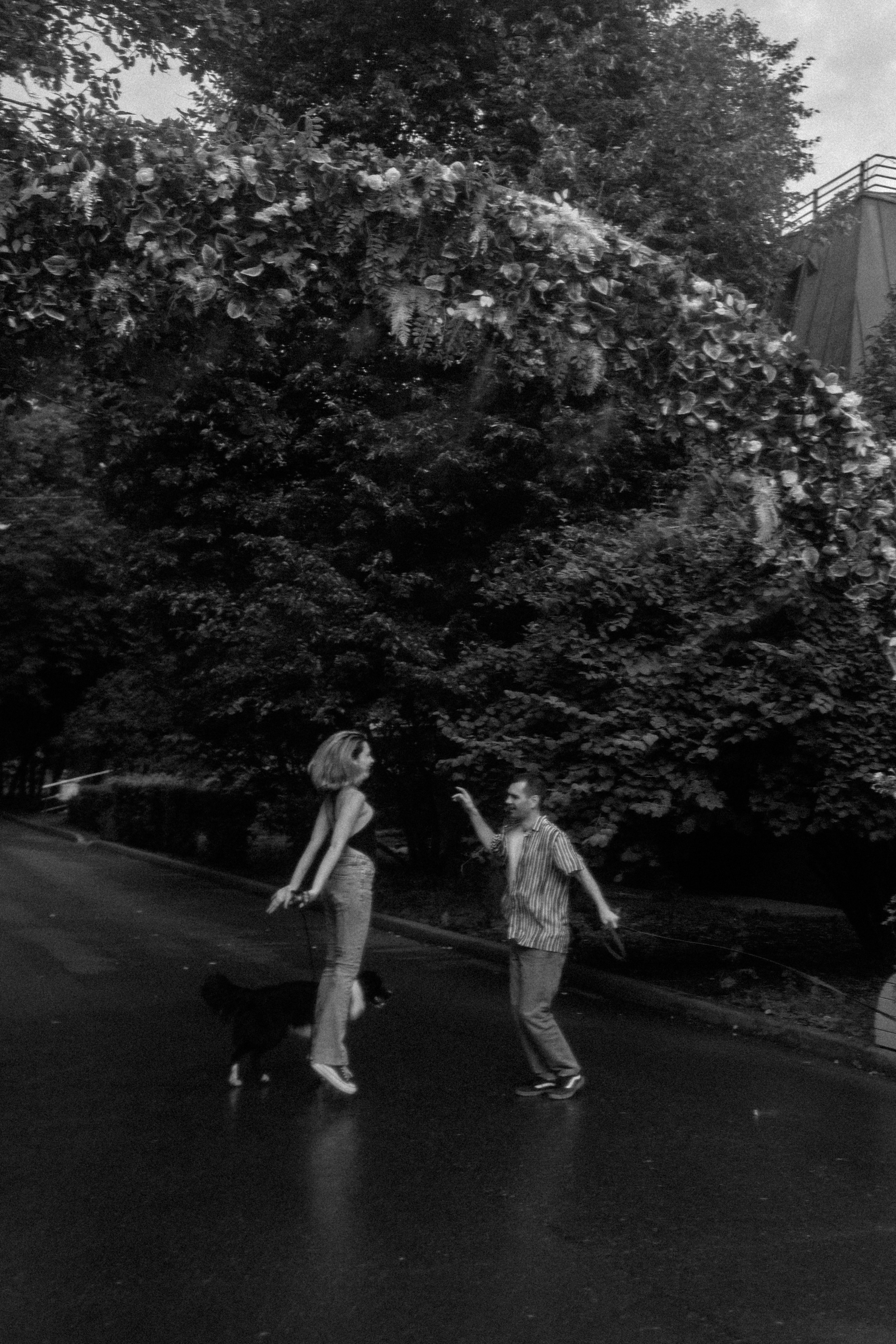 Брюс, Вейв и их ро. Фотораф — анималист Мария Шистка