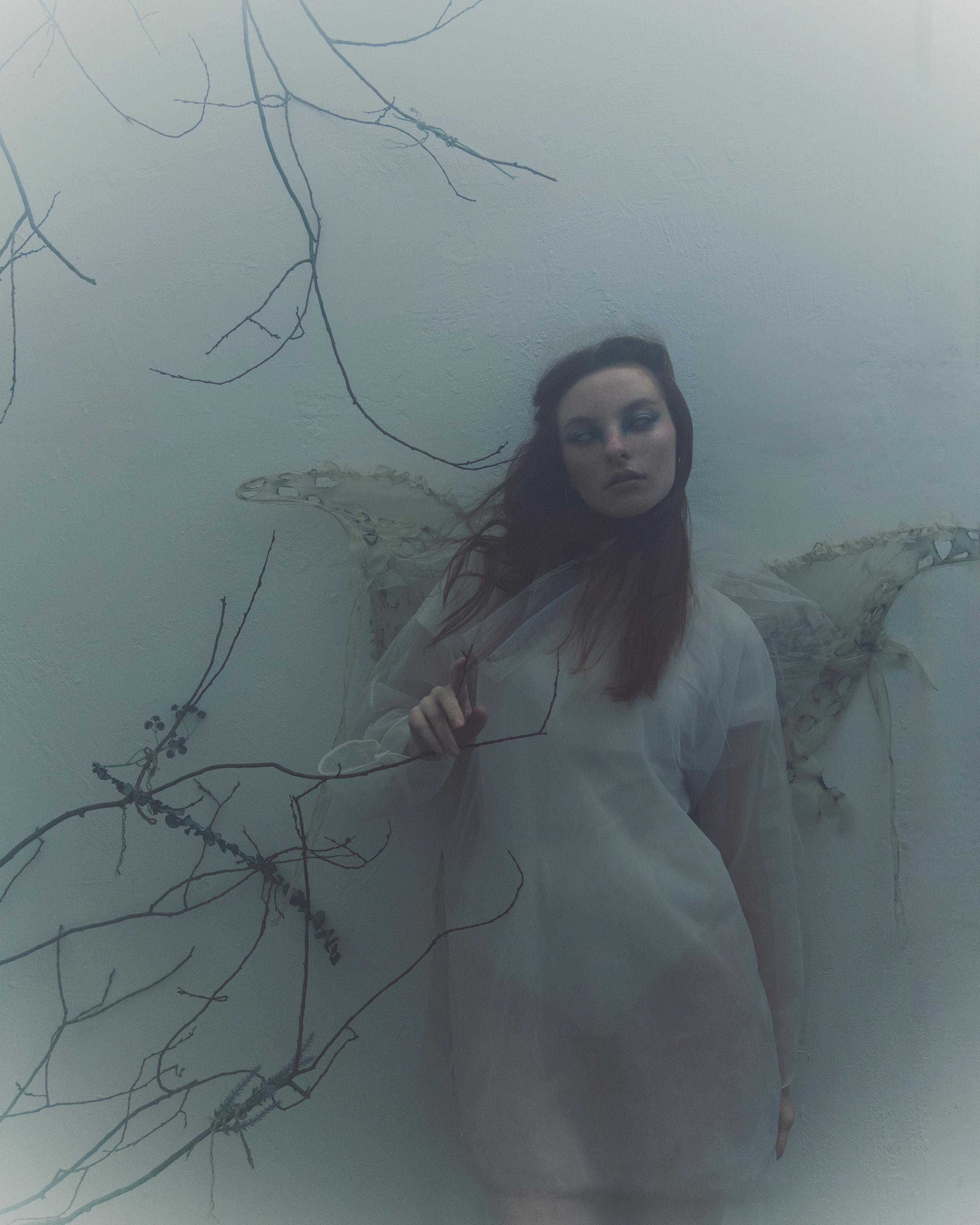 Мотылек. Фотограф Anita Mivchas