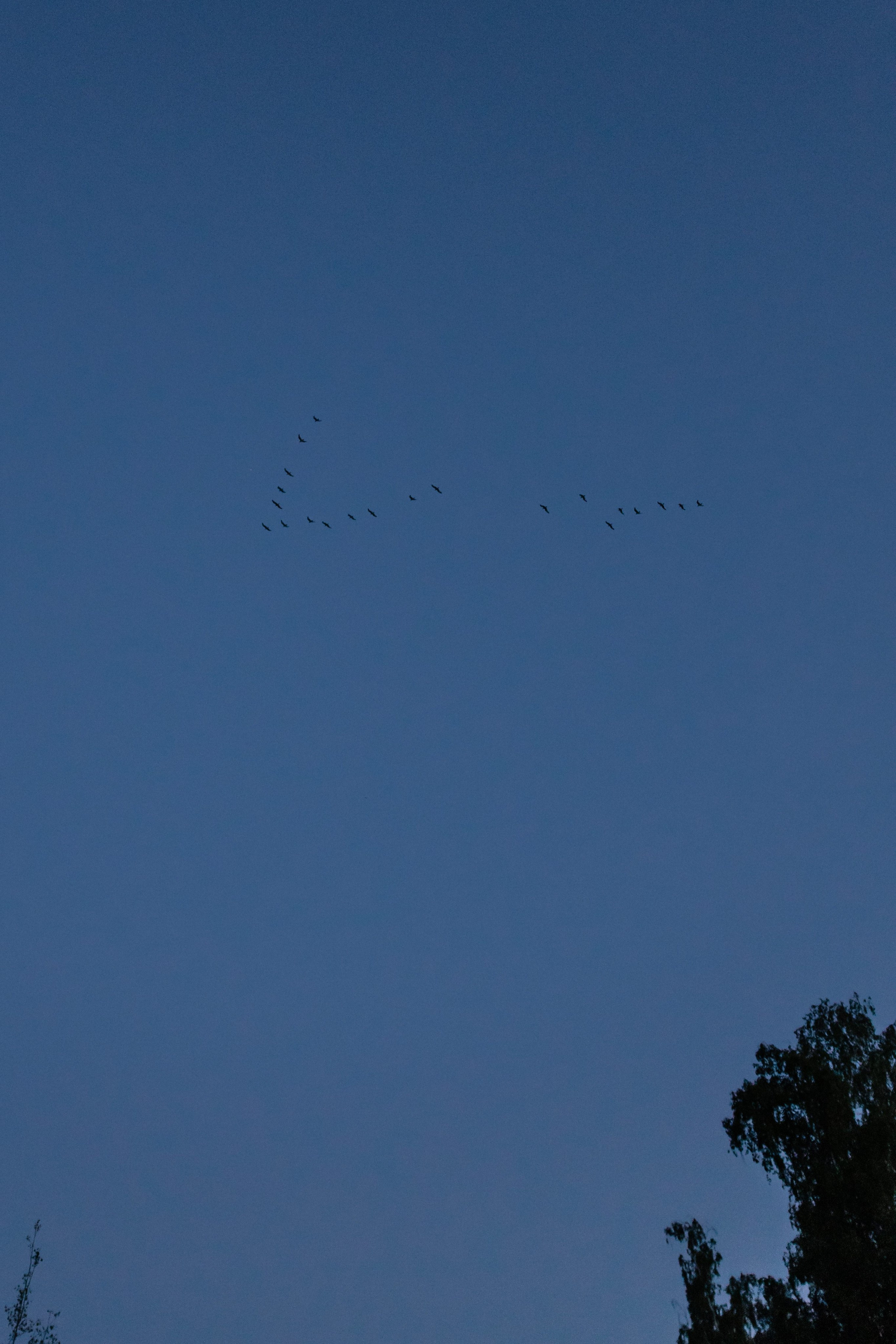 Максим и Ева. Свадебный и Семейный фотограф по всему миру Анна Фёдорова