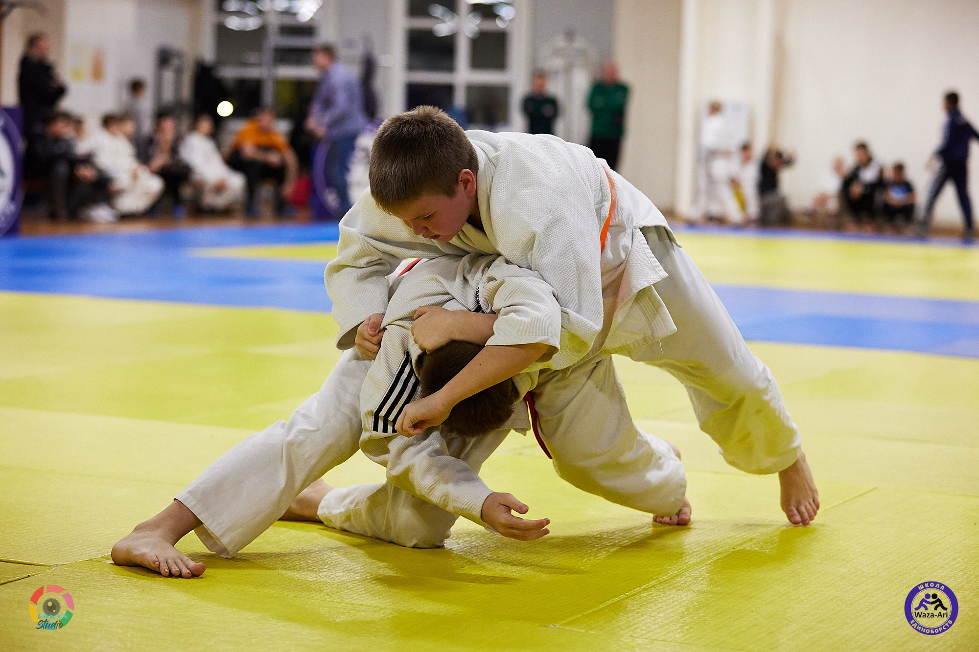Репортаж Турнир по дзюдо. Спортивный фотограф Некрасов Денис