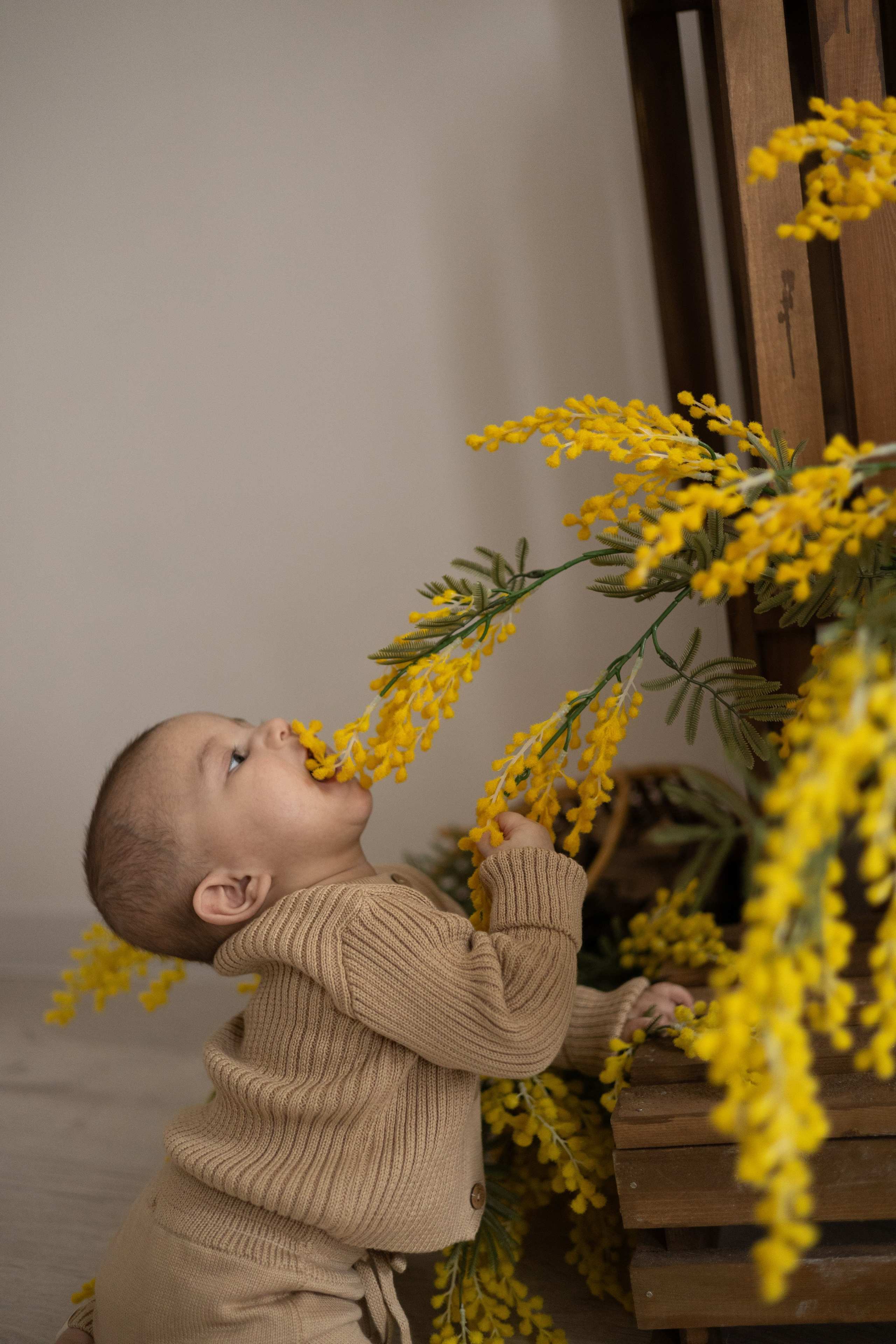 Малыш Ариан ♡. Главная