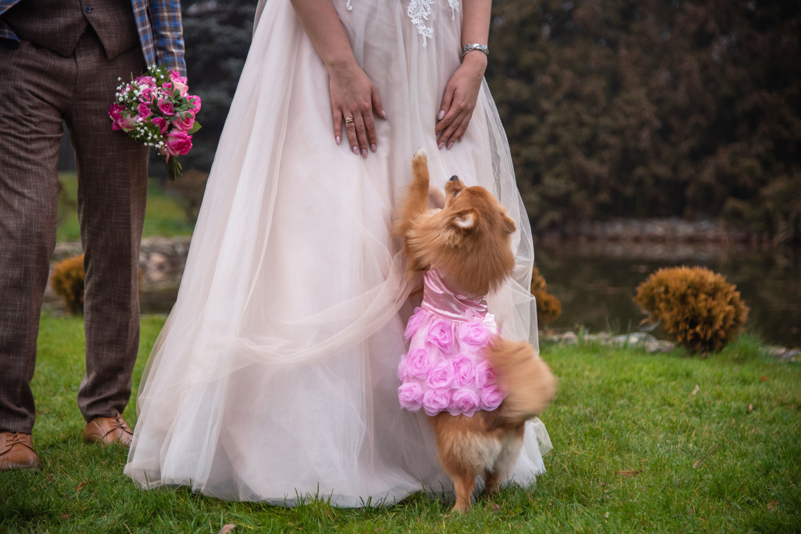 Кристина и Виктор. Свадебный и семейный фотограф Ольга Астрейко