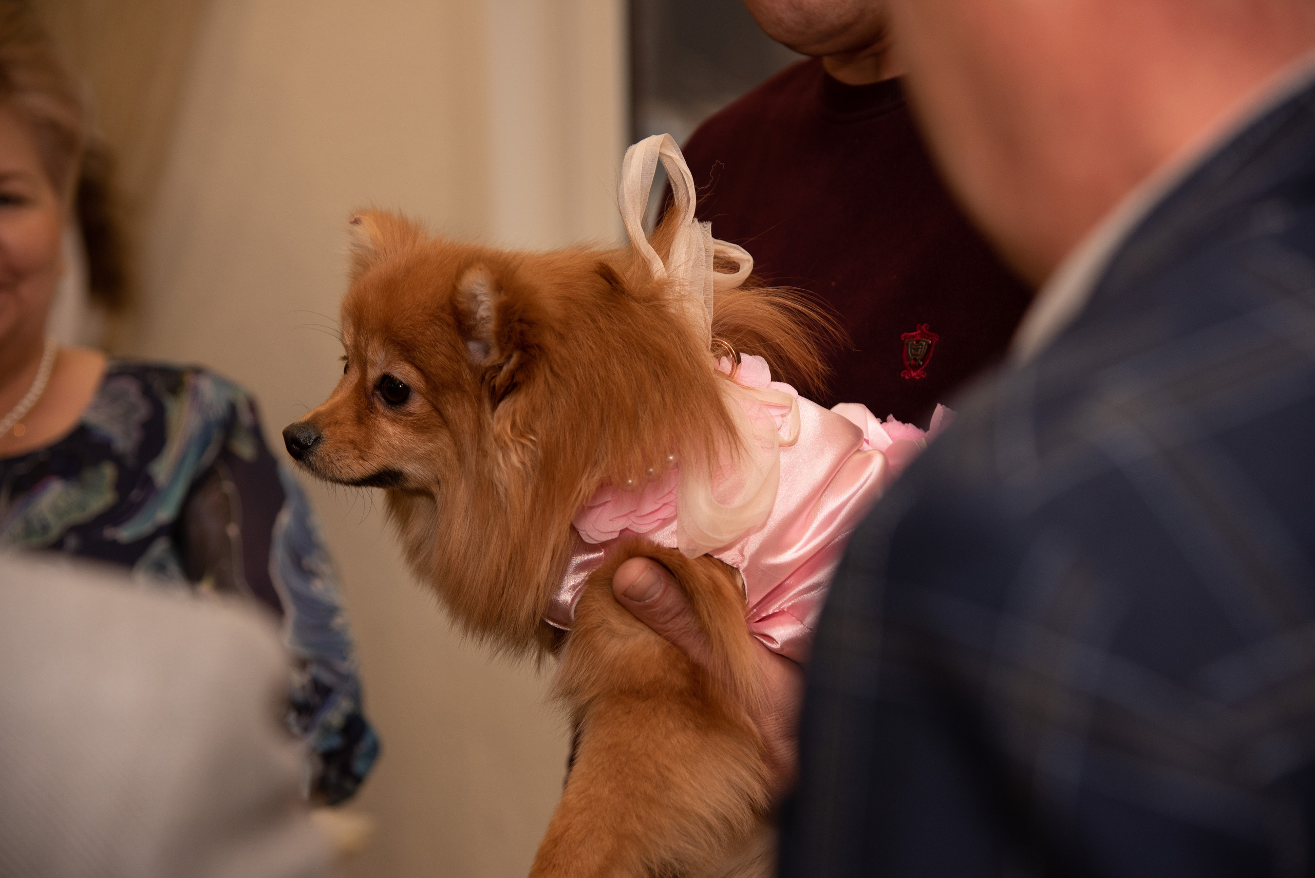 Кристина и Виктор. Свадебный и семейный фотограф Ольга Астрейко