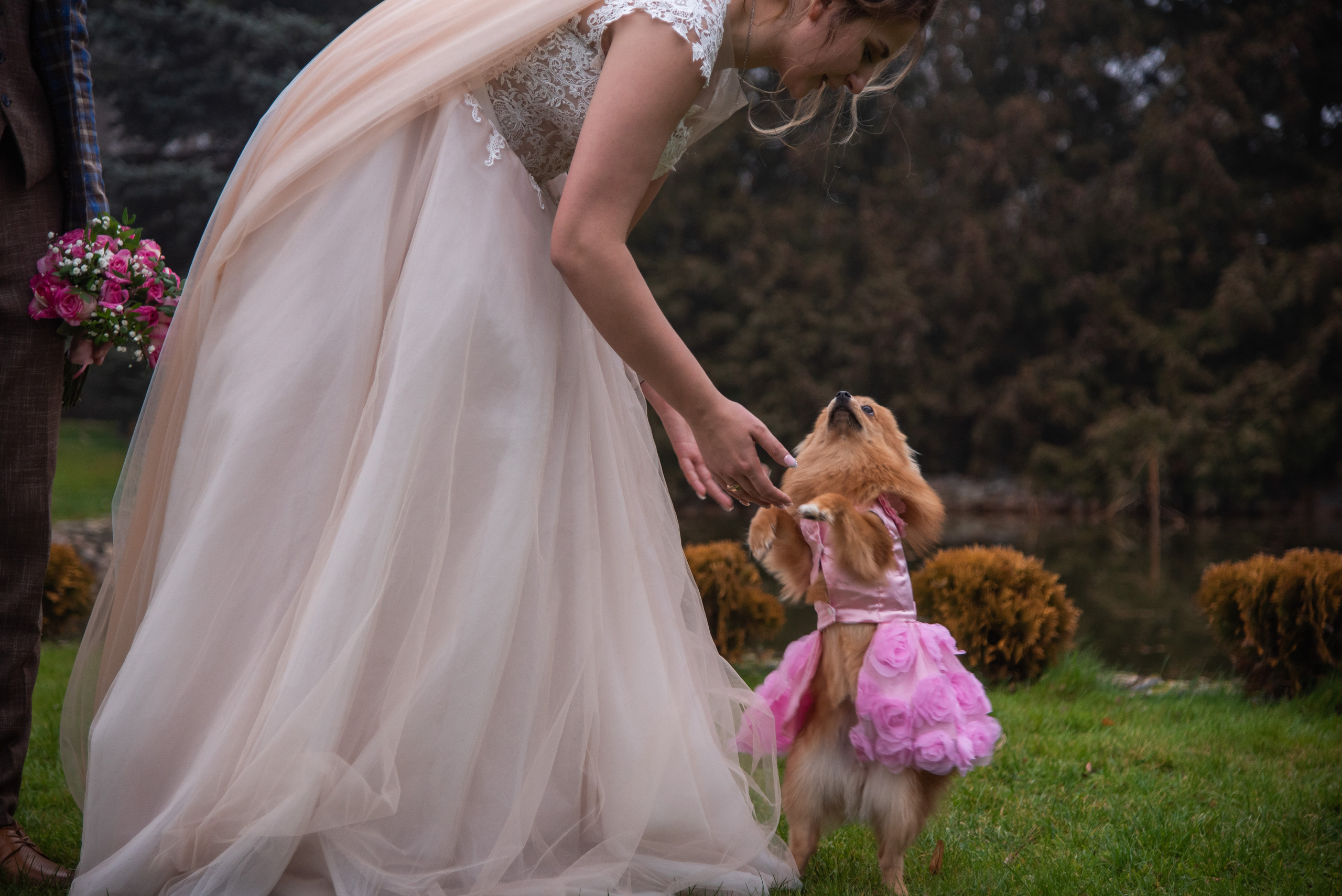 Кристина и Виктор. Свадебный и семейный фотограф Ольга Астрейко