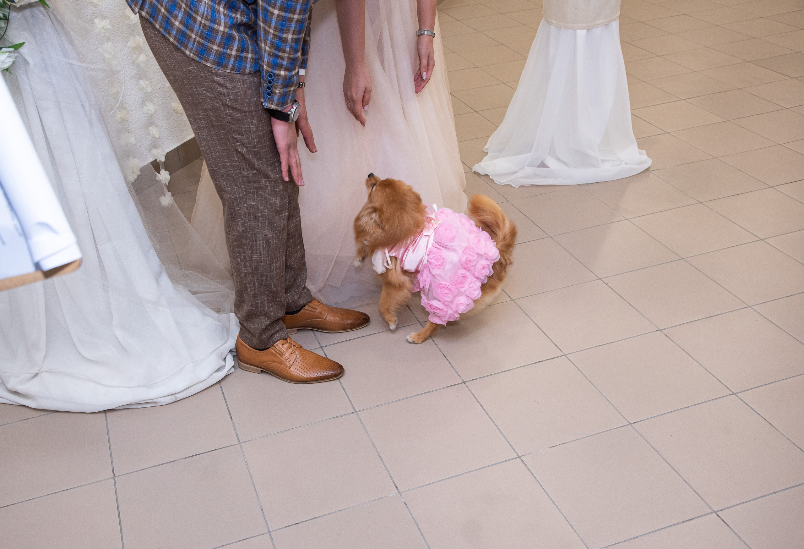 Кристина и Виктор. Свадебный и семейный фотограф Ольга Астрейко