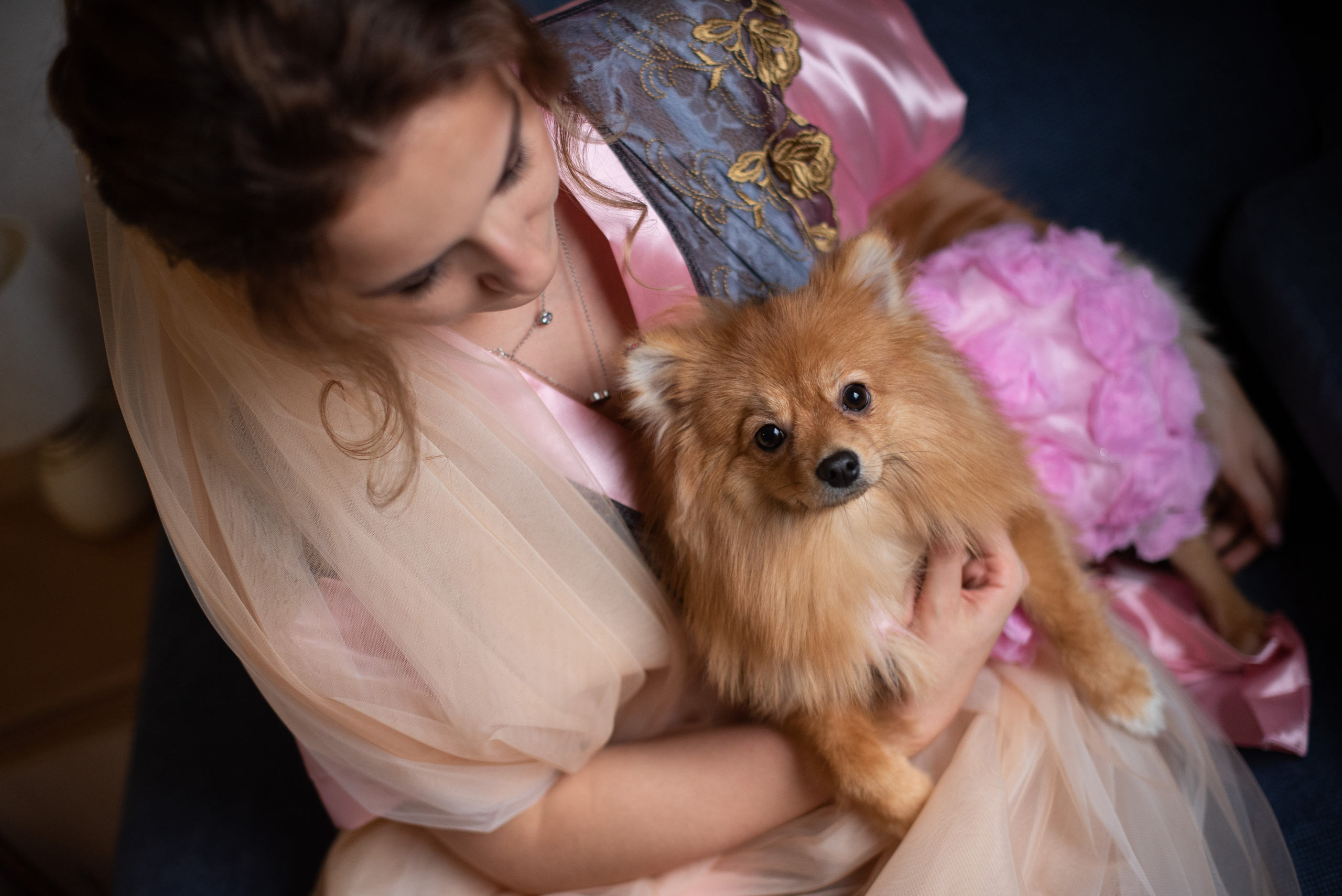 Кристина и Виктор. Свадебный и семейный фотограф Ольга Астрейко