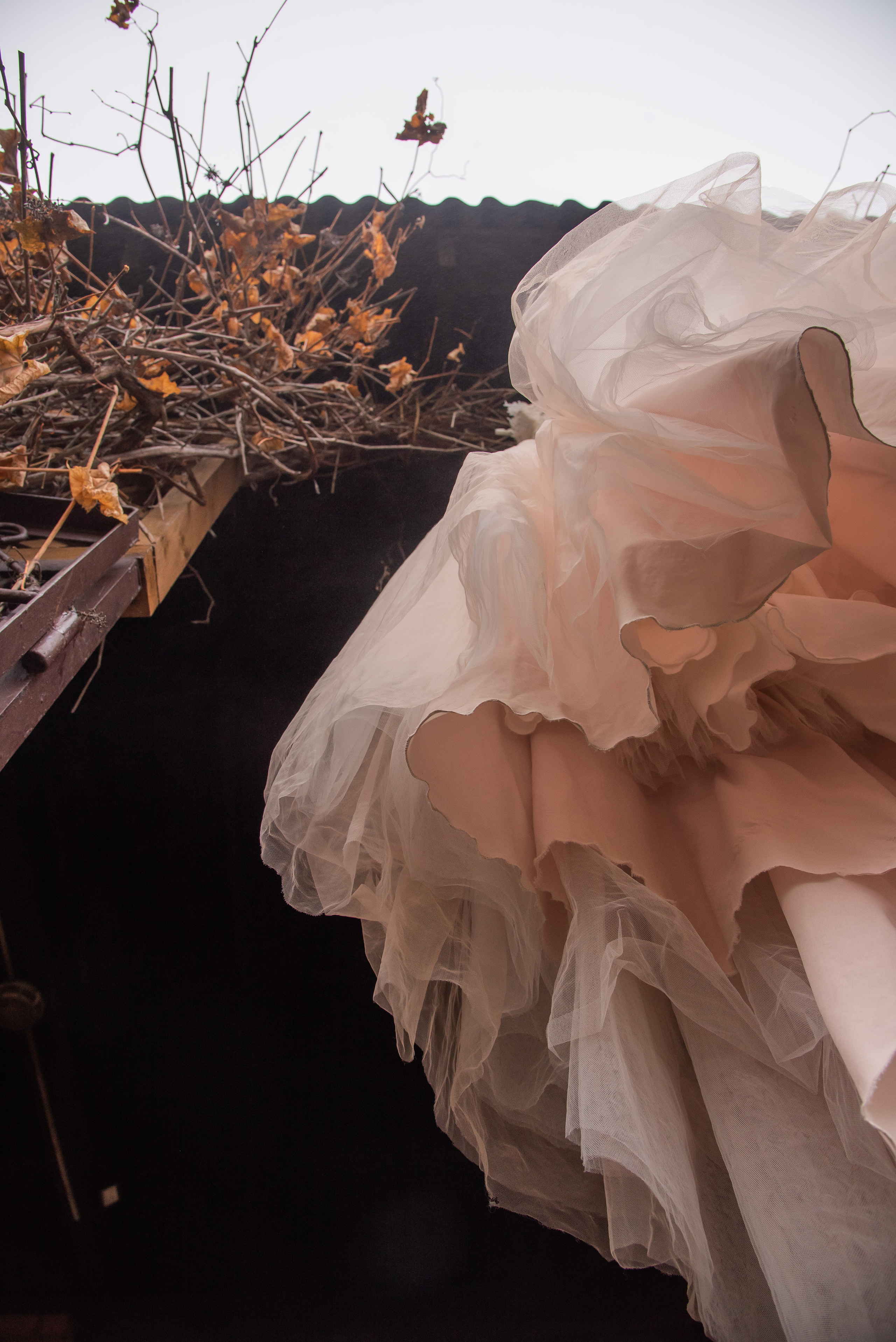 Кристина и Виктор. Свадебный и семейный фотограф Ольга Астрейко