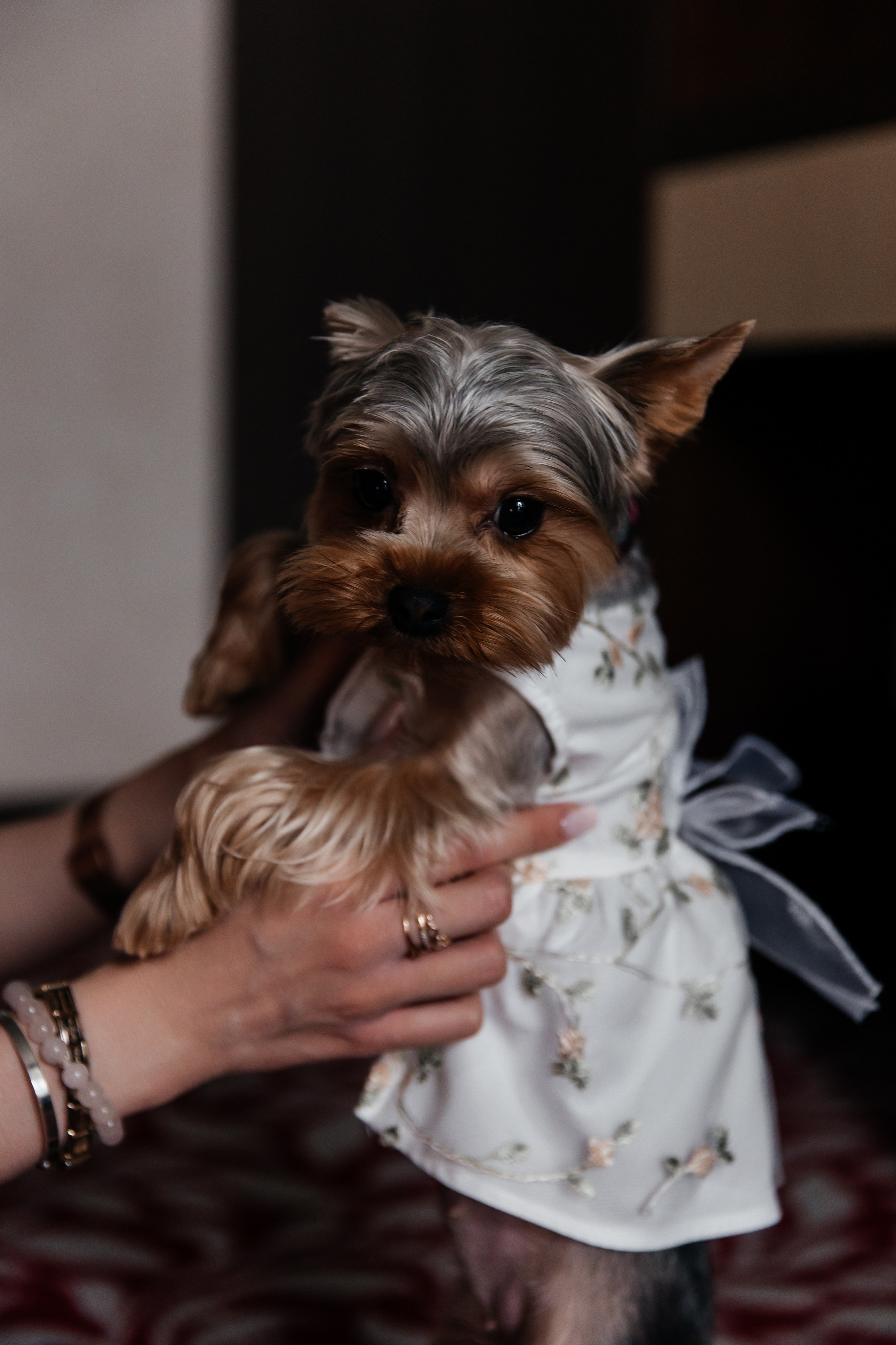 Влад и Полина (день 2). Свадебный и семейный фотограф у Уфе Евгения Сазонова