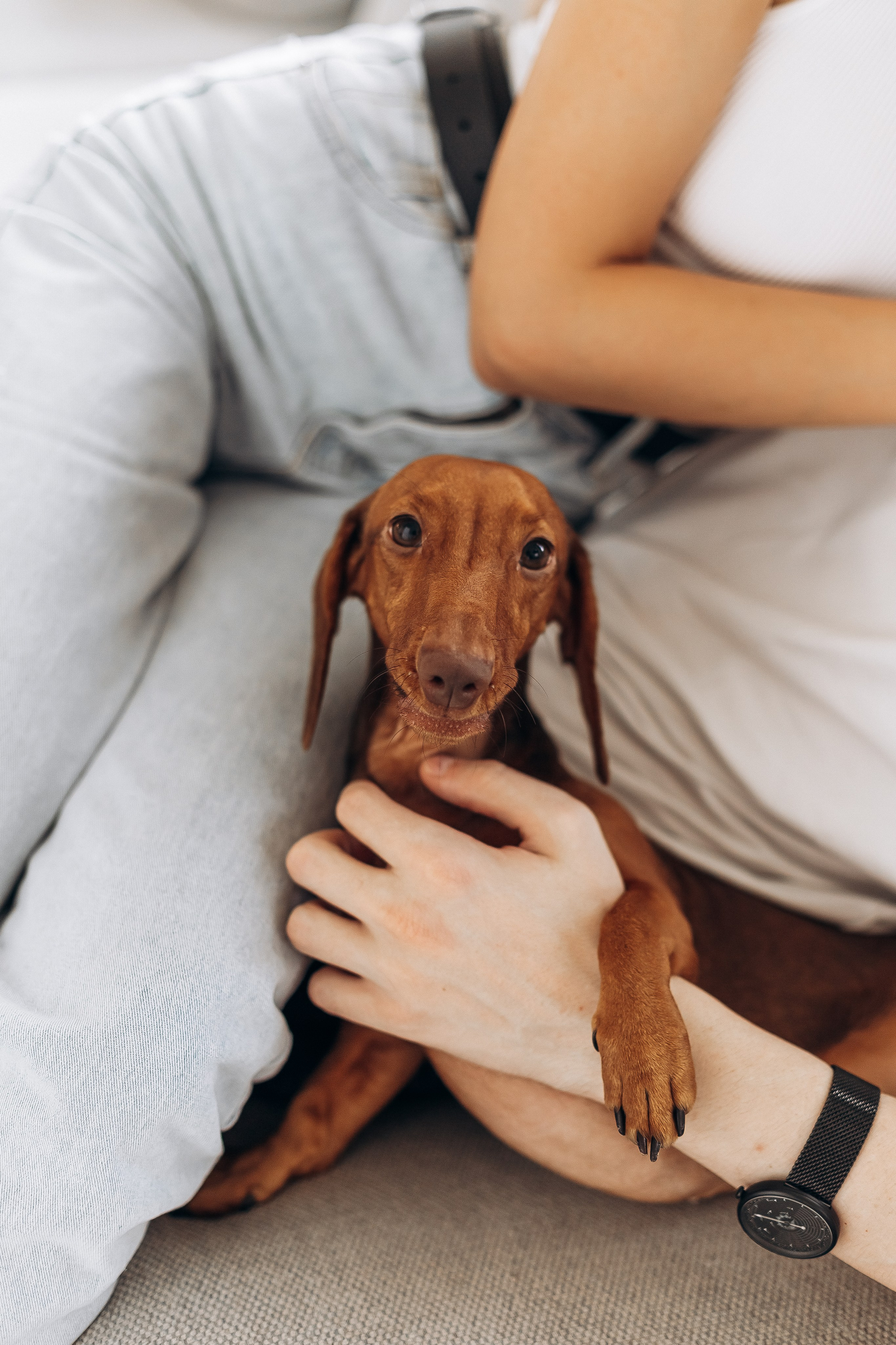 Анна и Валентин + Чапа. Портретный и семейный фотограф в Минске
