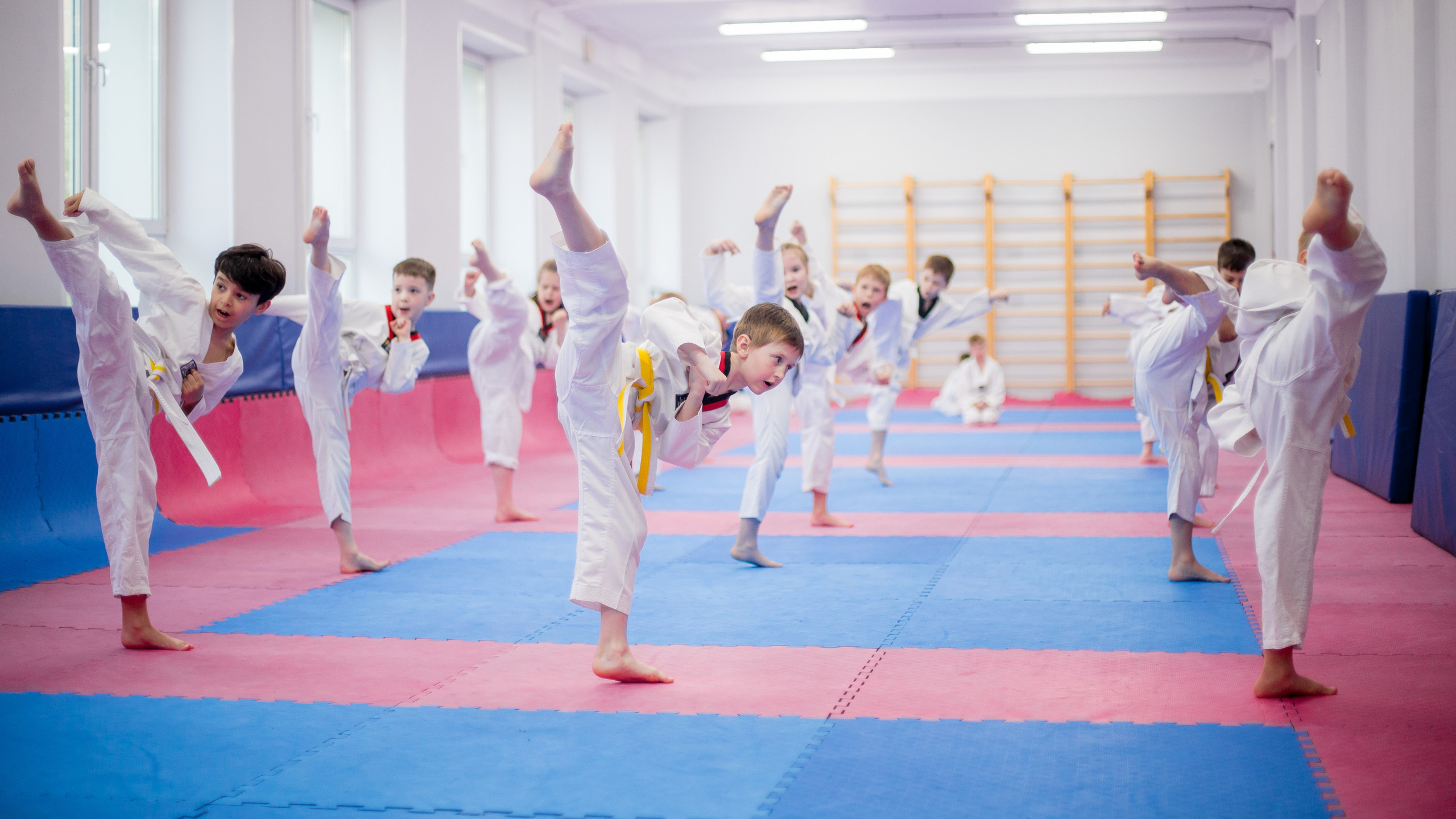 Желтый пояс по тхеквандо. Репортажный фотограф Борис Геер