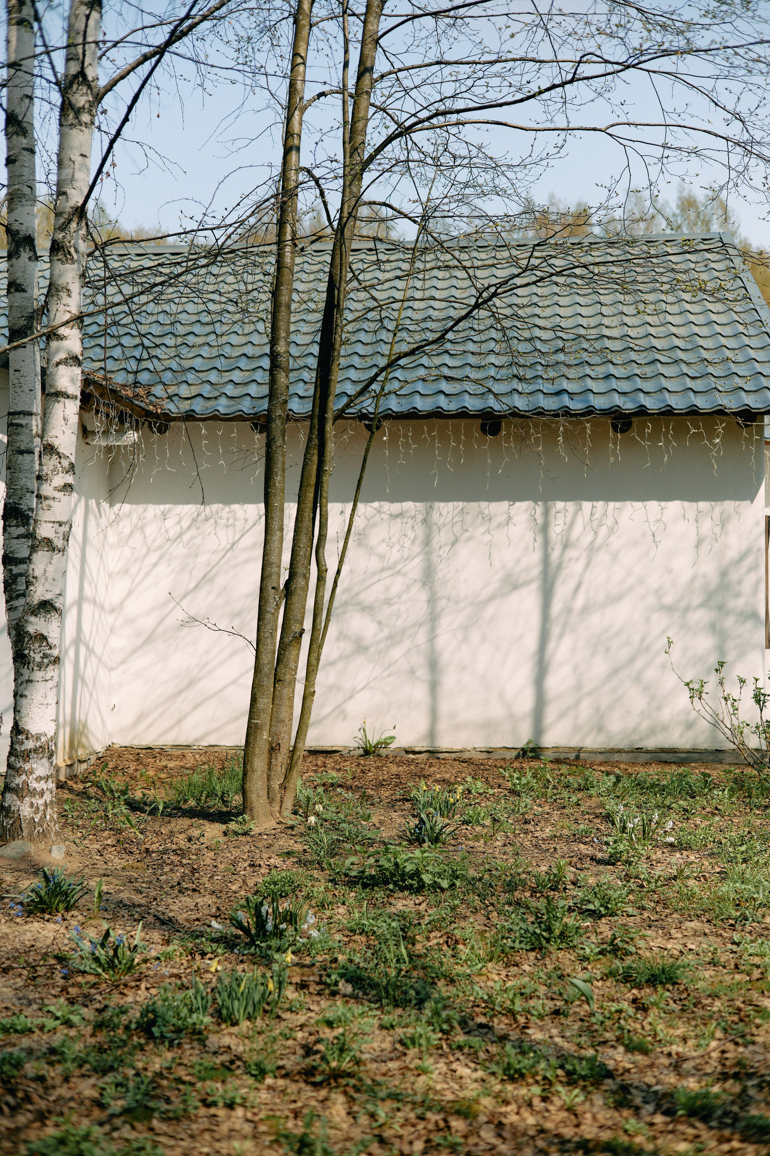 Бутик-отель Поле летом. Профессиональный Фотограф во Владимире, в Москве и в Суздале — Полина Романычева