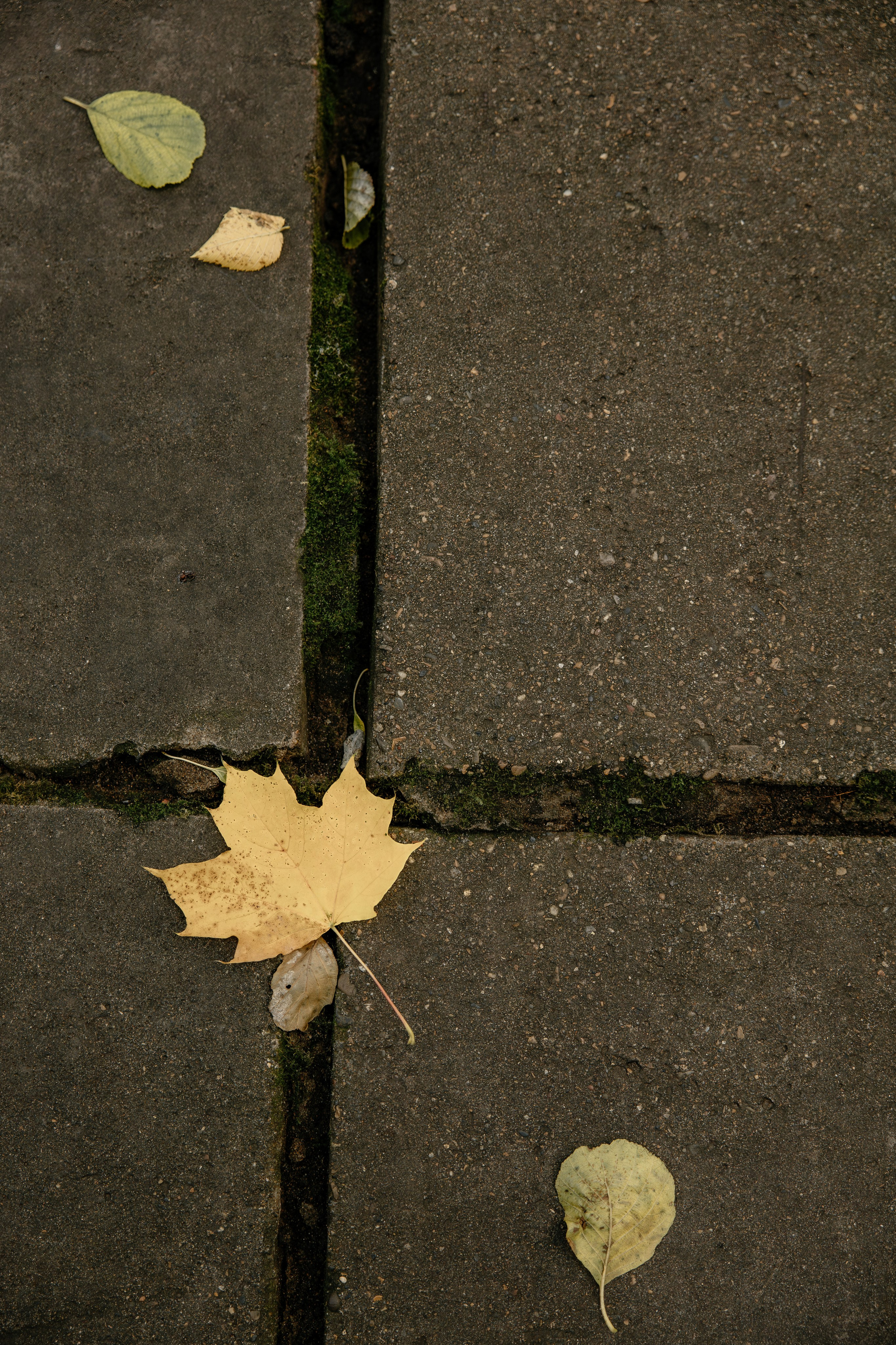 Рамиль&Светлана. Фотограф Арина Елизарова