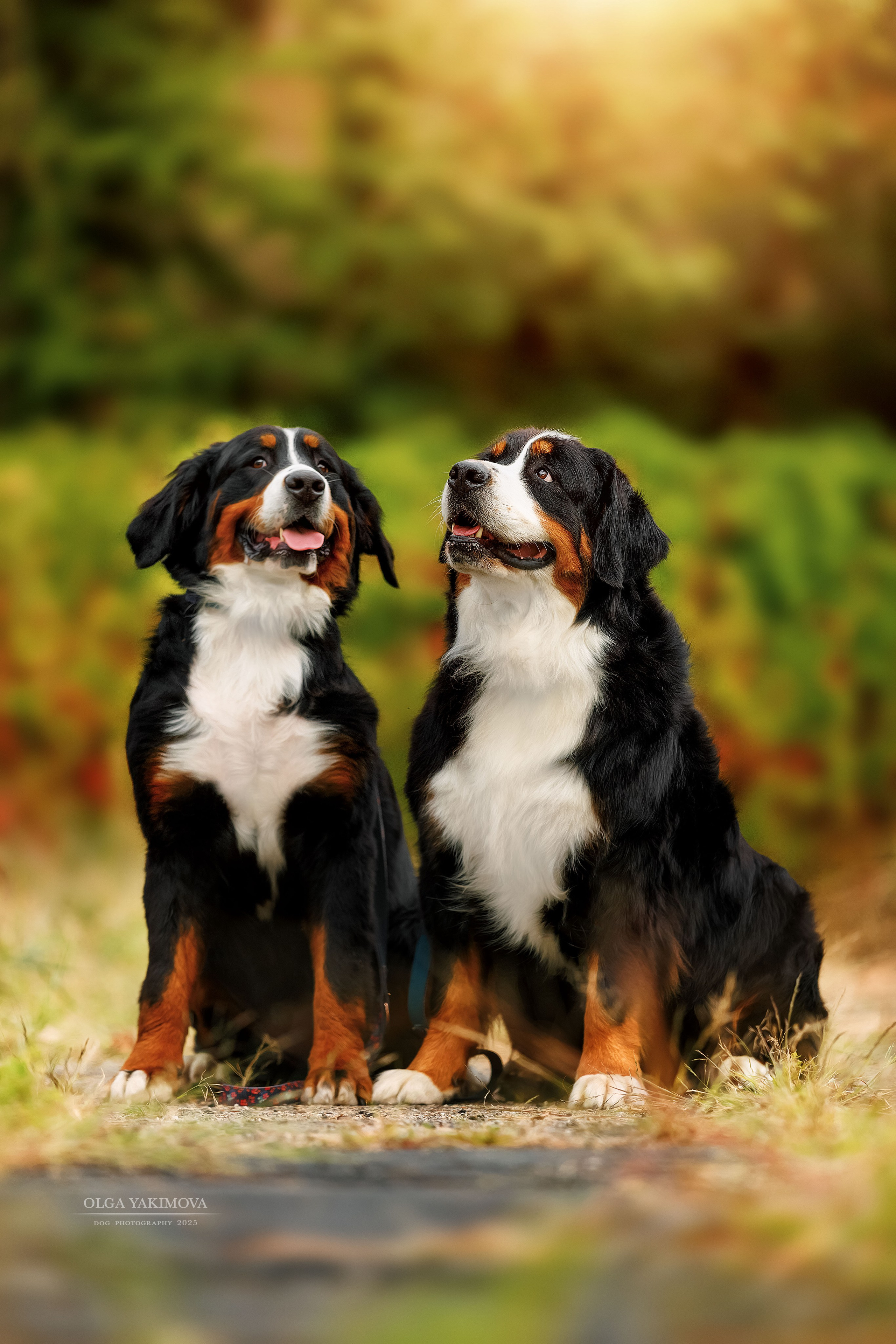 Экстерьер. Фотограф