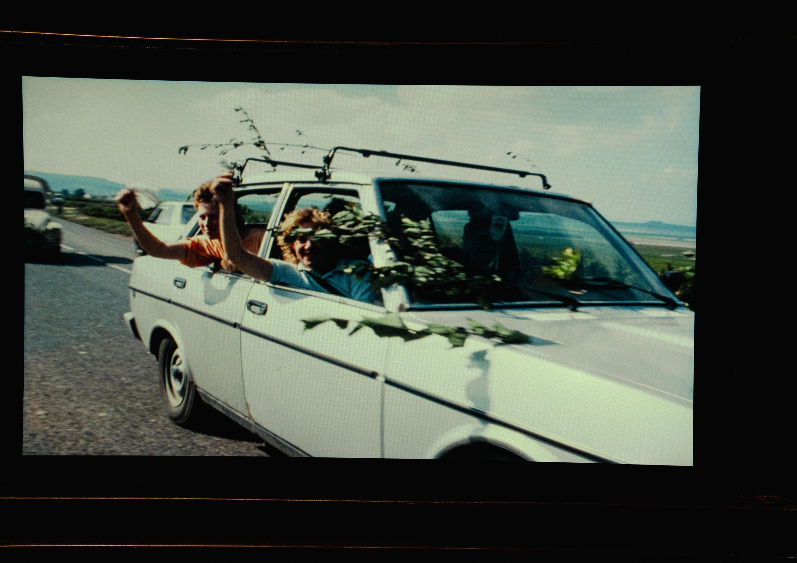 Champagne 2025. Фотограф в Крыму Алевтина Швец