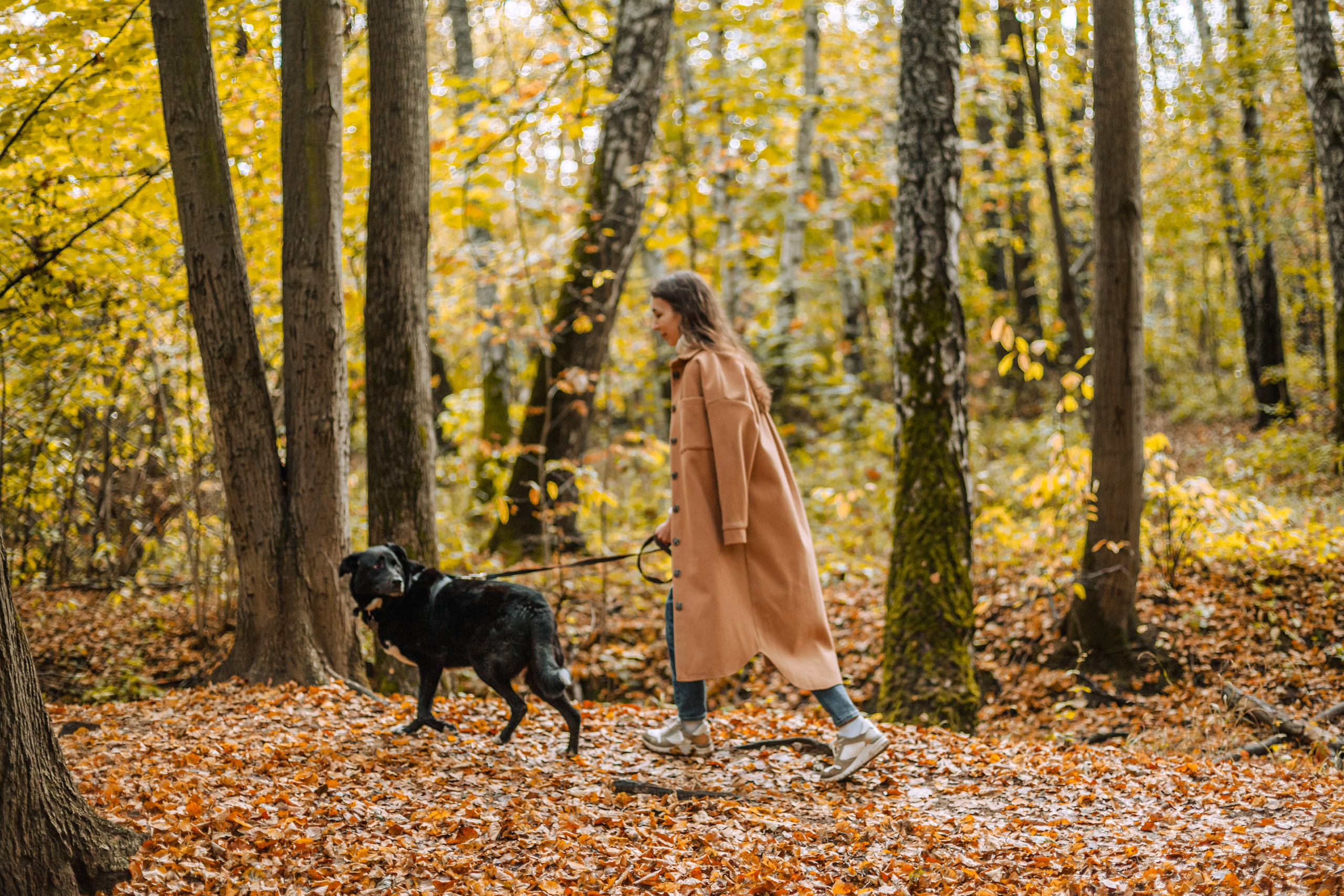 Юля и Фортуна. Фотограф-анималист Татьяна Степанова