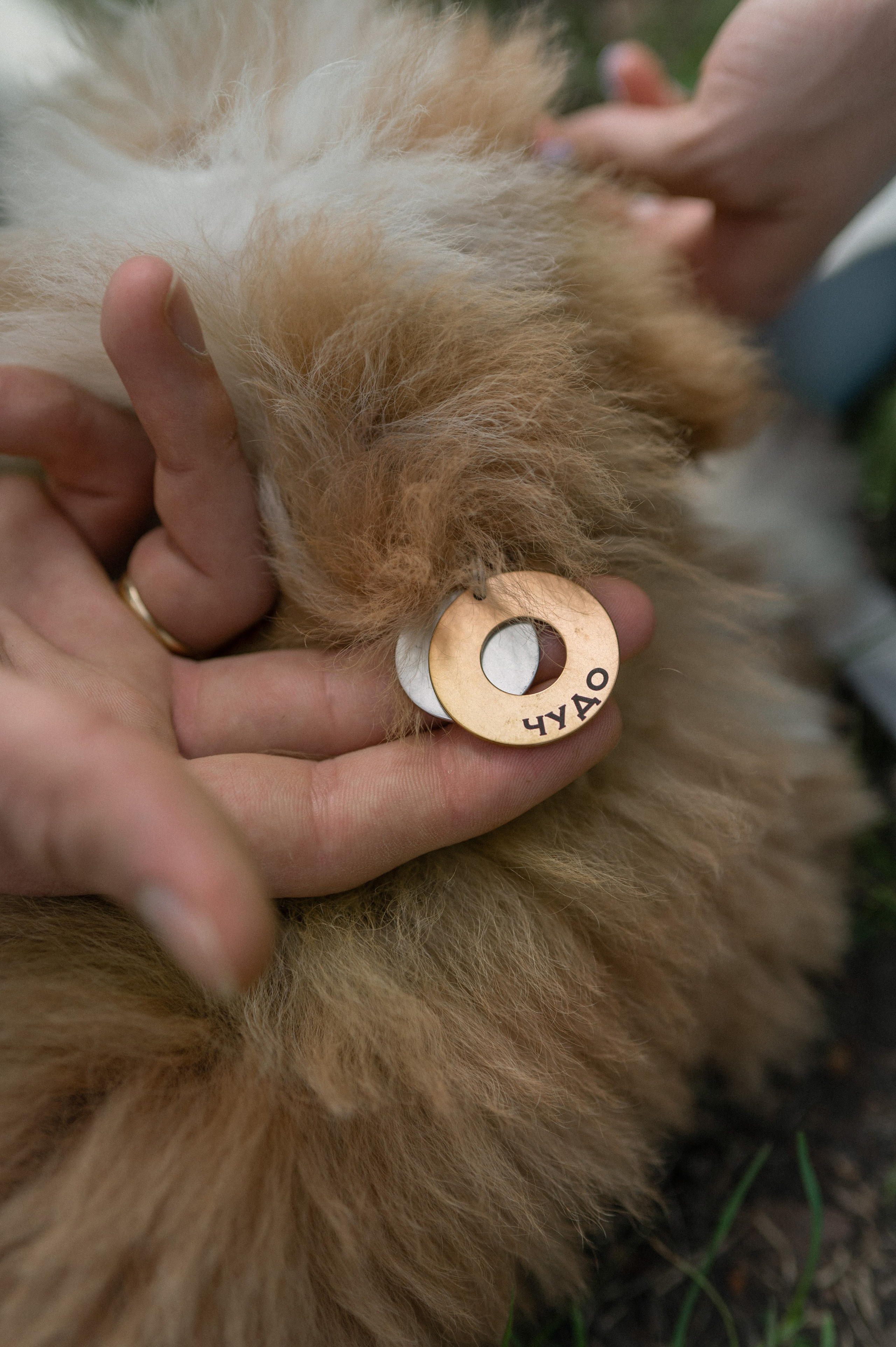 Лера & Саша. Фотограф в Москве Екатерина Солнцева