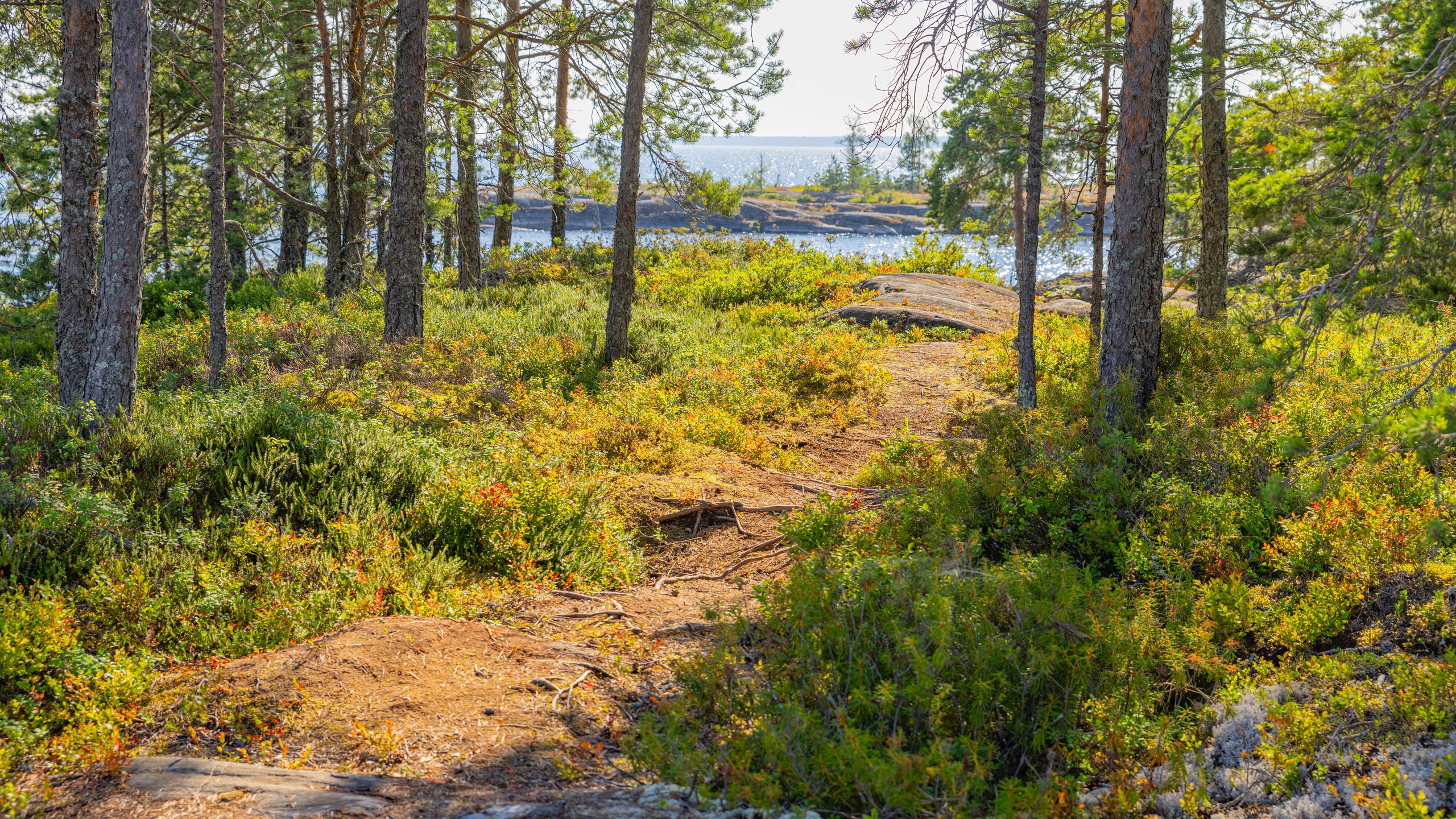 2025 07 Выборг — Сортавала — Великий Новгород — Псков. Фотографии