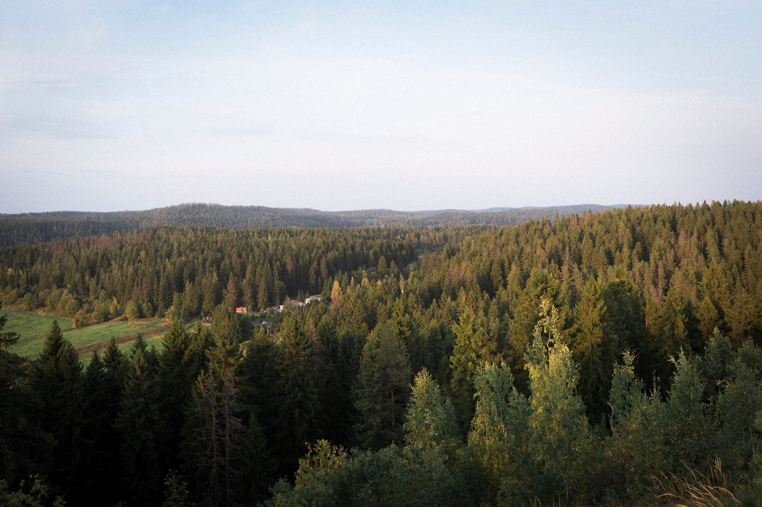 North 2024. Kartascheff