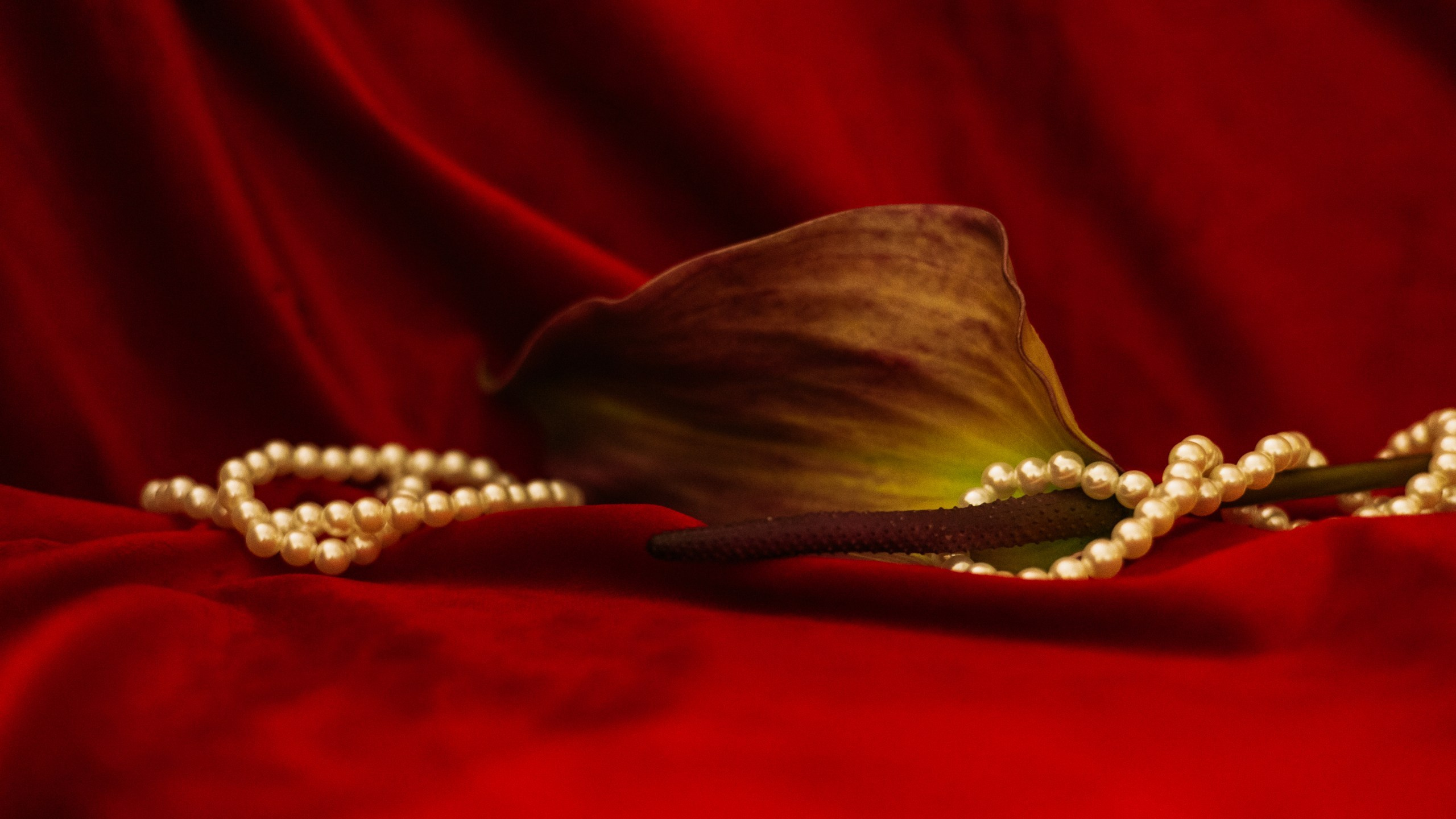 Индивидуальный фотограф в Оренбурге Кристина Студеникина