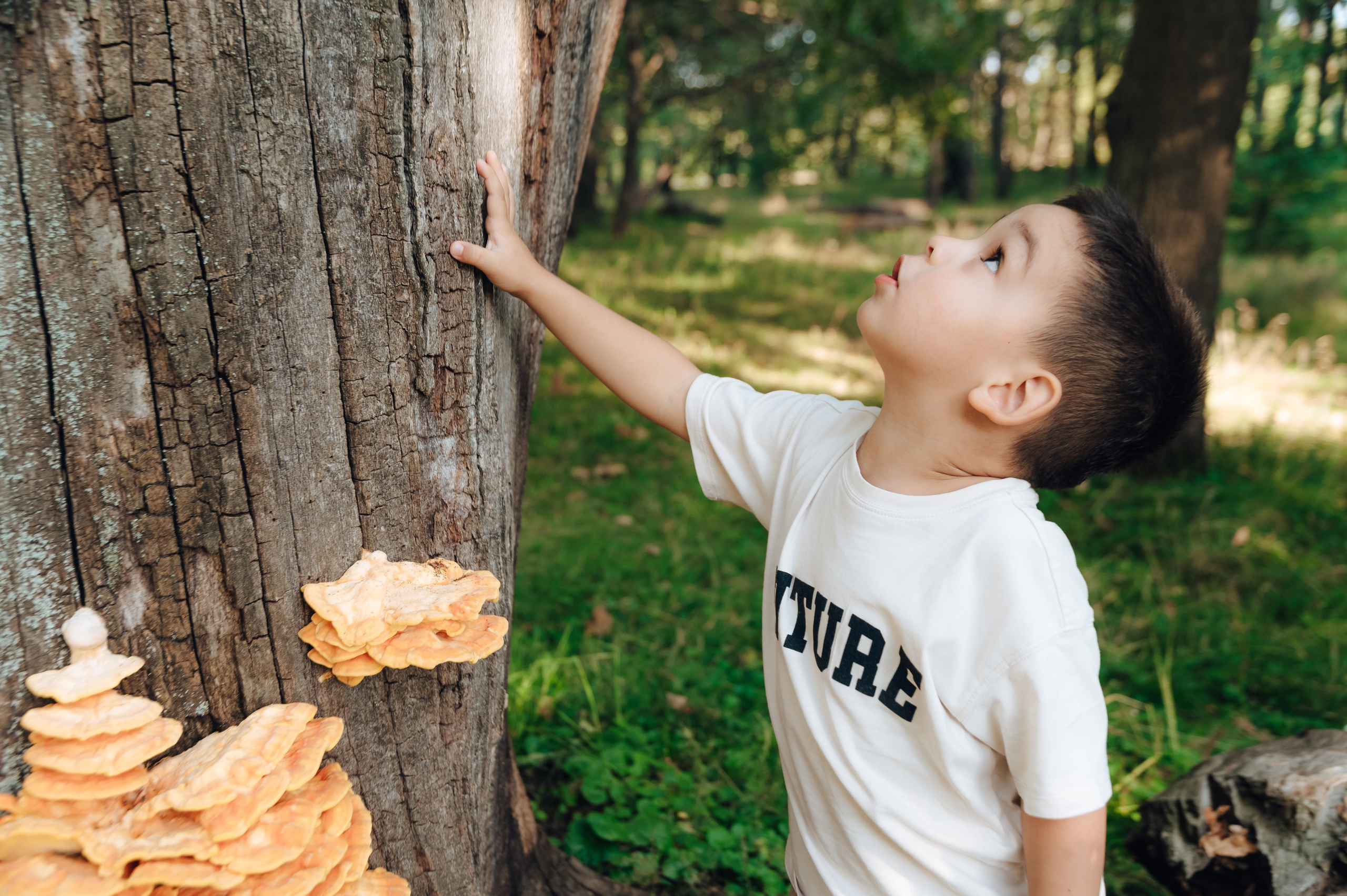 Дубовая роща. Святое озеро. Детский и семейный фотограф Катерина Мишина