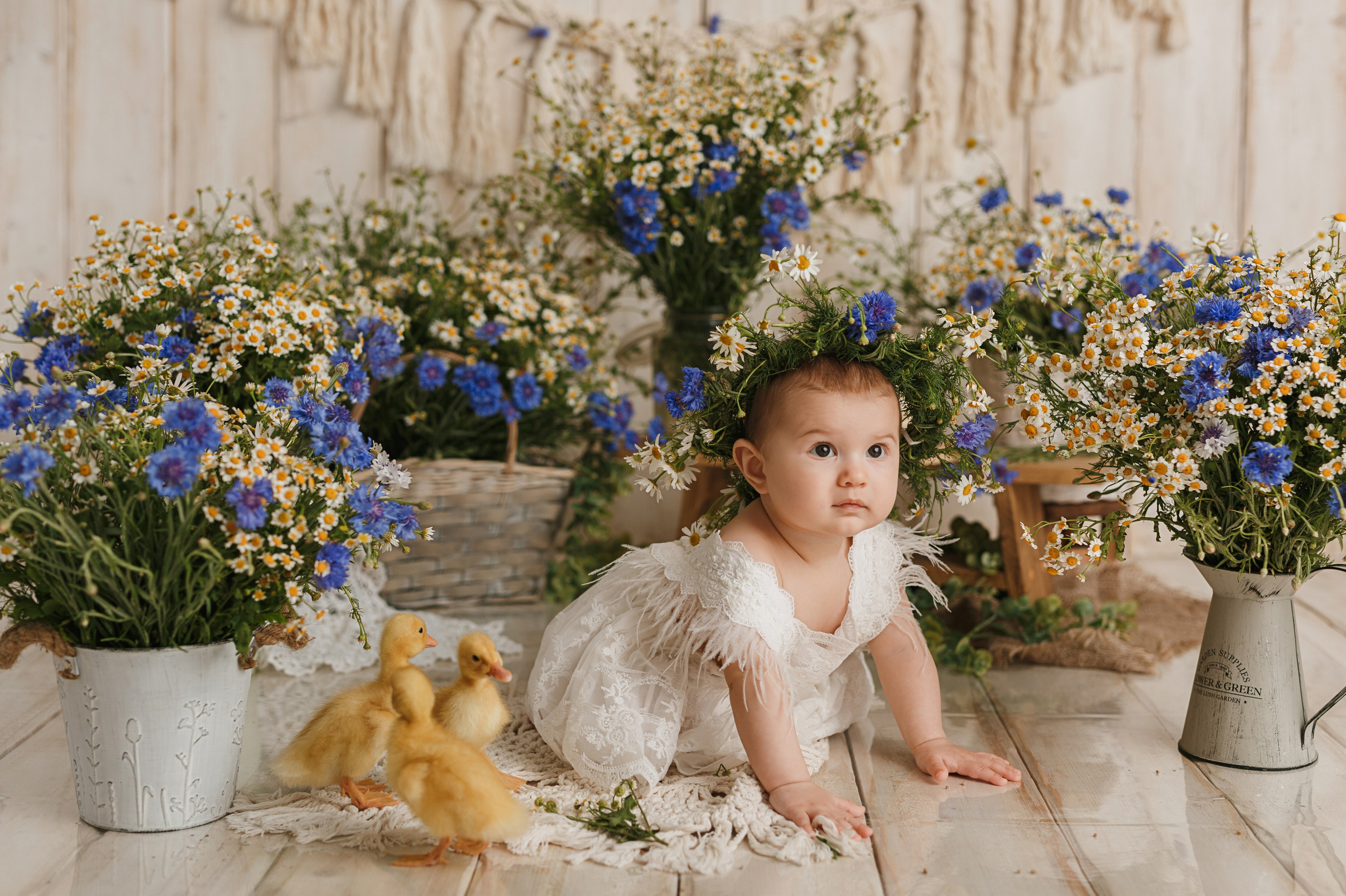 Фотопроекты. Профессиональная детская и семейная фотостудия в Краснодаре