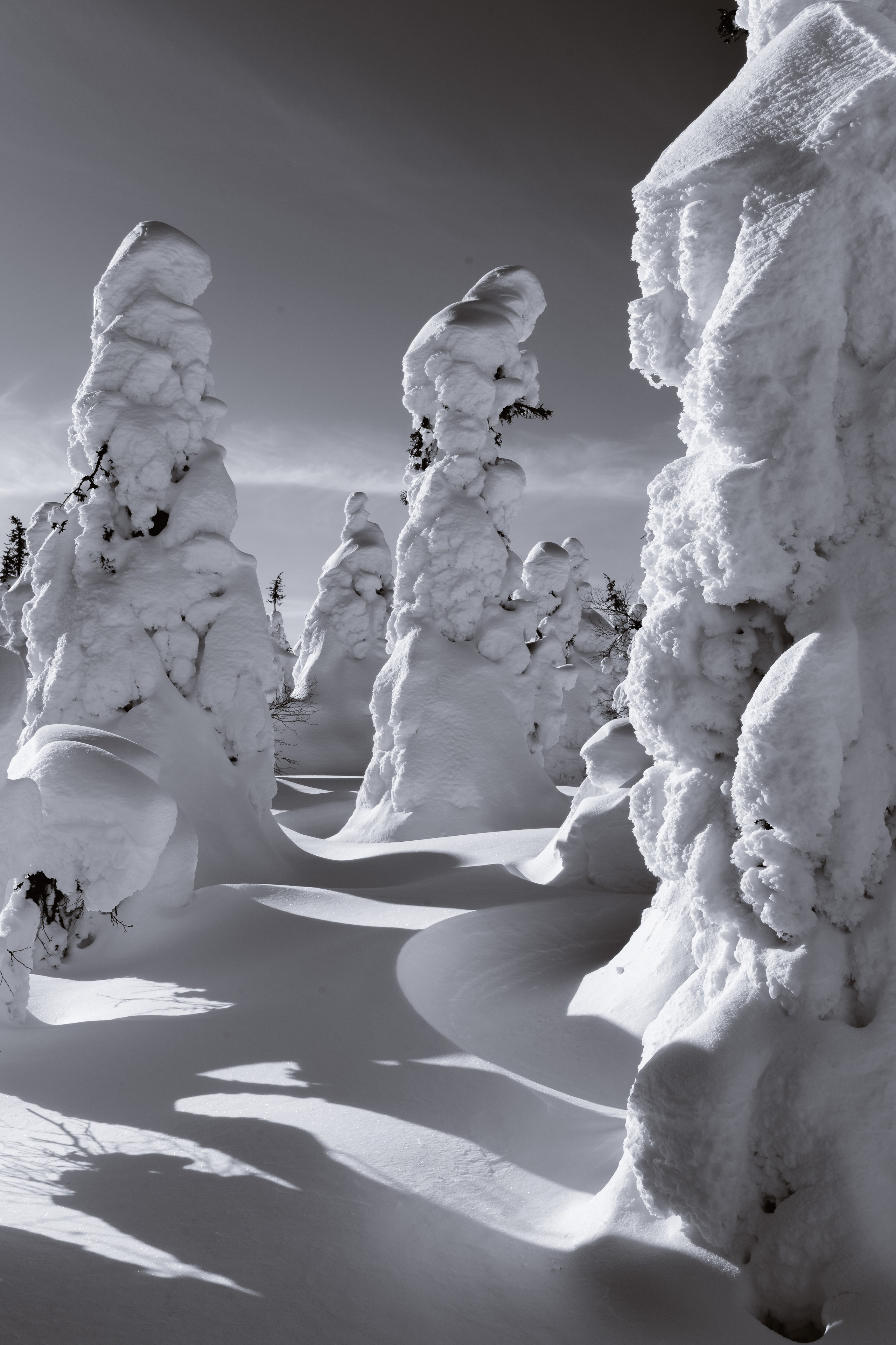 Зима. Северные Ночи