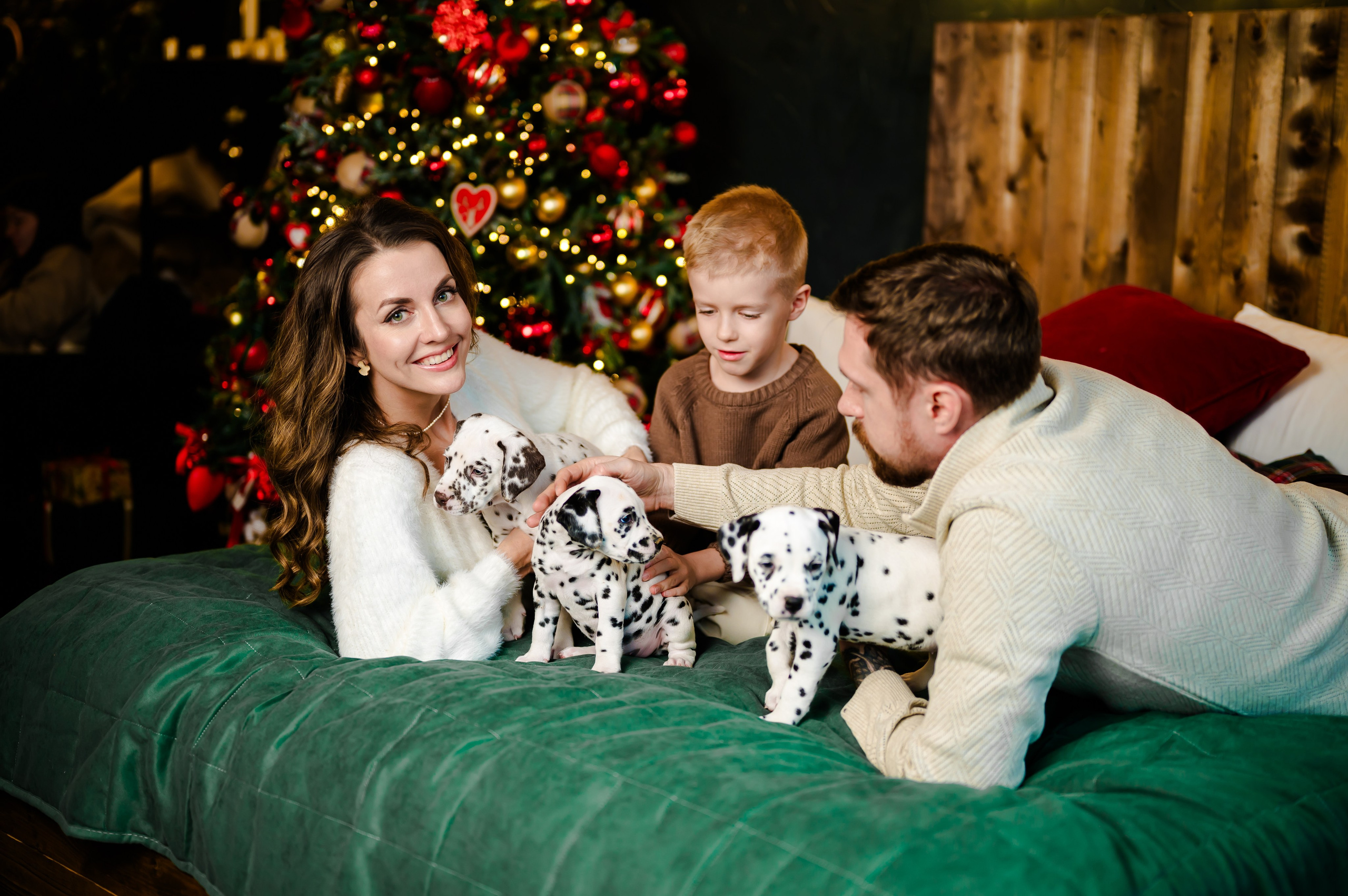 Фотосессия с далматинцами. Свадебный и семейный фотограф Евгения Кононова