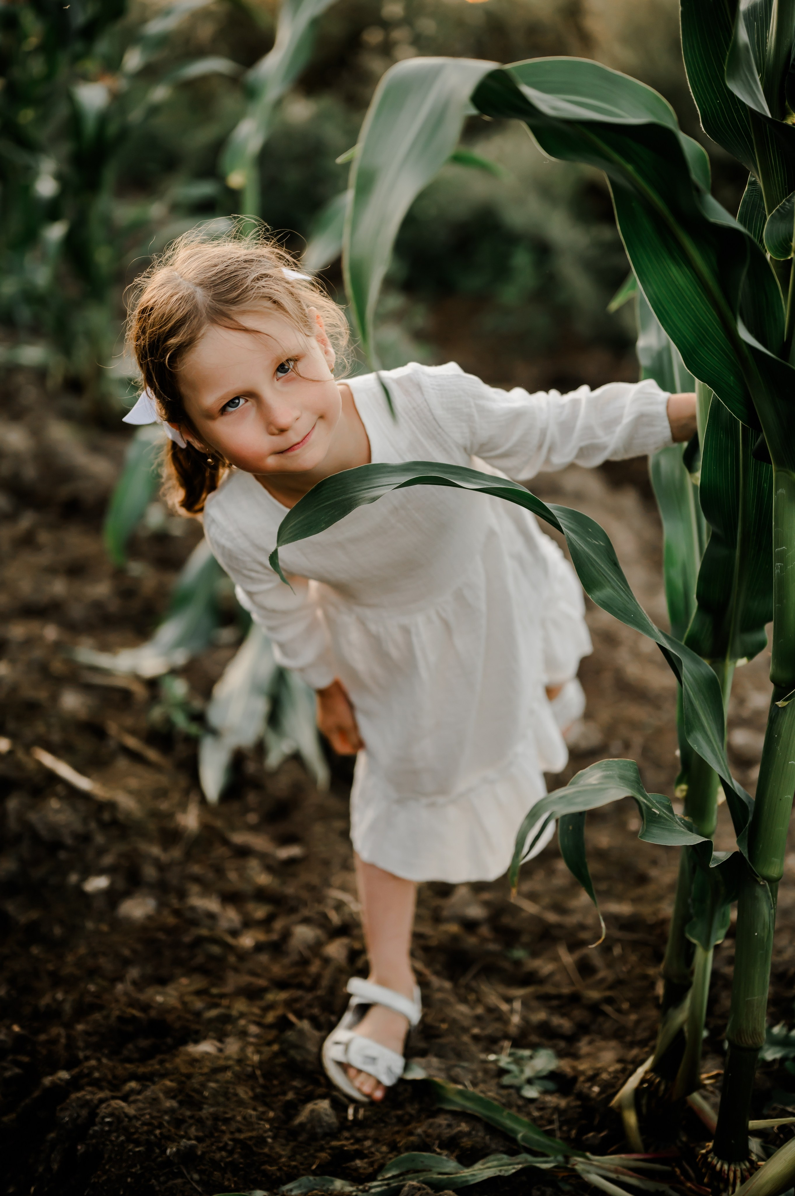 Кукуруза+сено, семейная фотосессия. Свадебный и семейный фотограф Евгения Кононова