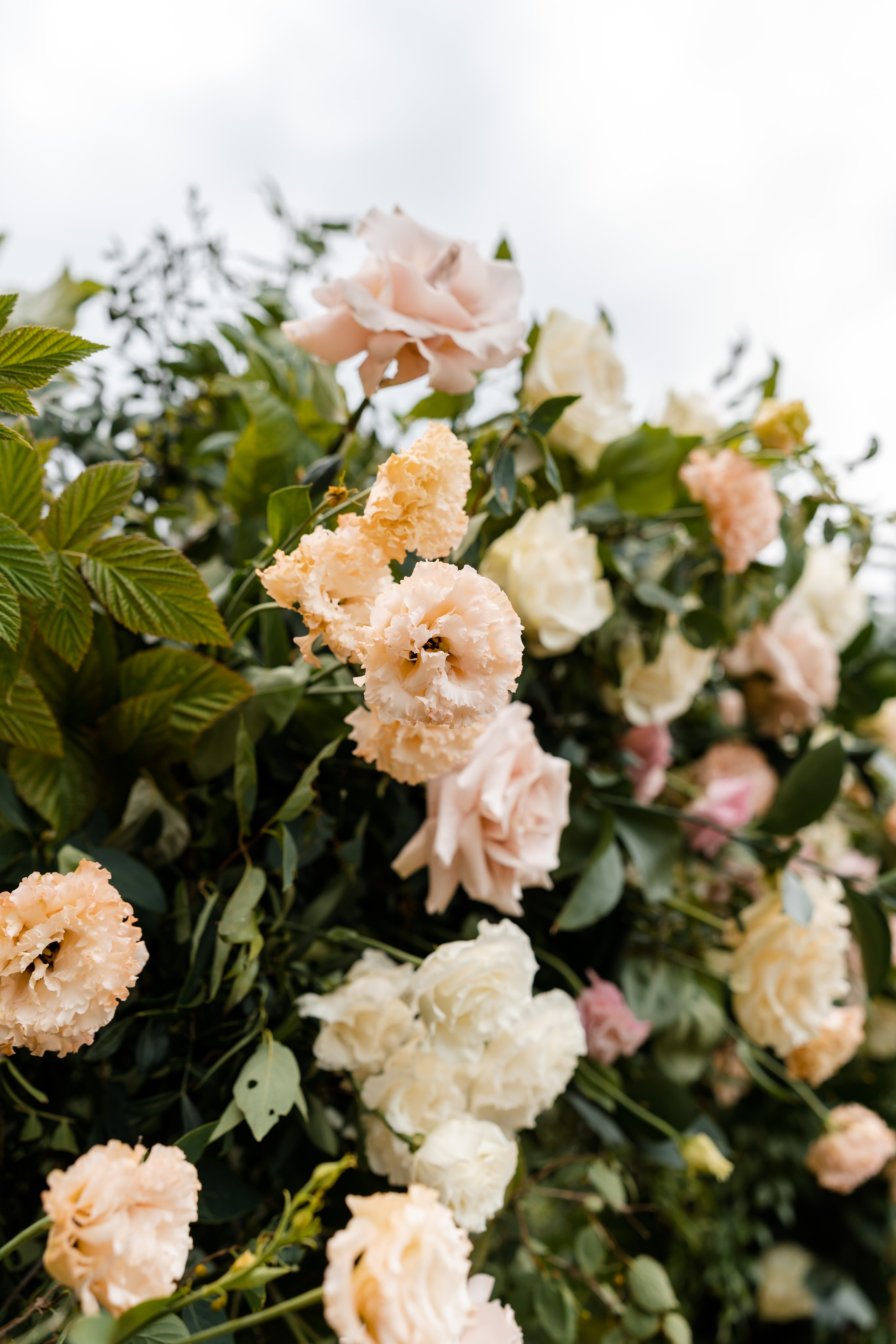 Fabian & Yulia. Свадебный Фотограф в Коломне и Москве Николай Максименко