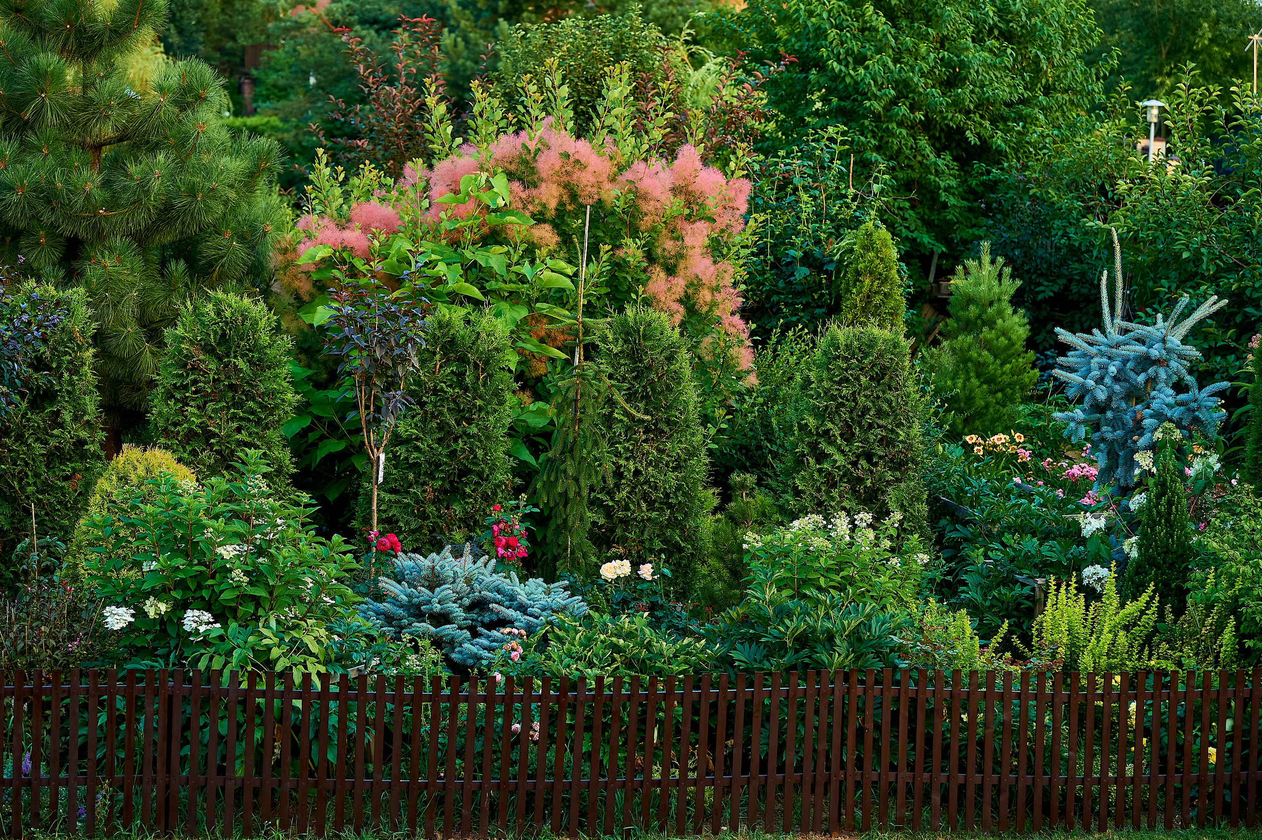 Фотосъёмка ландшафтных рабт