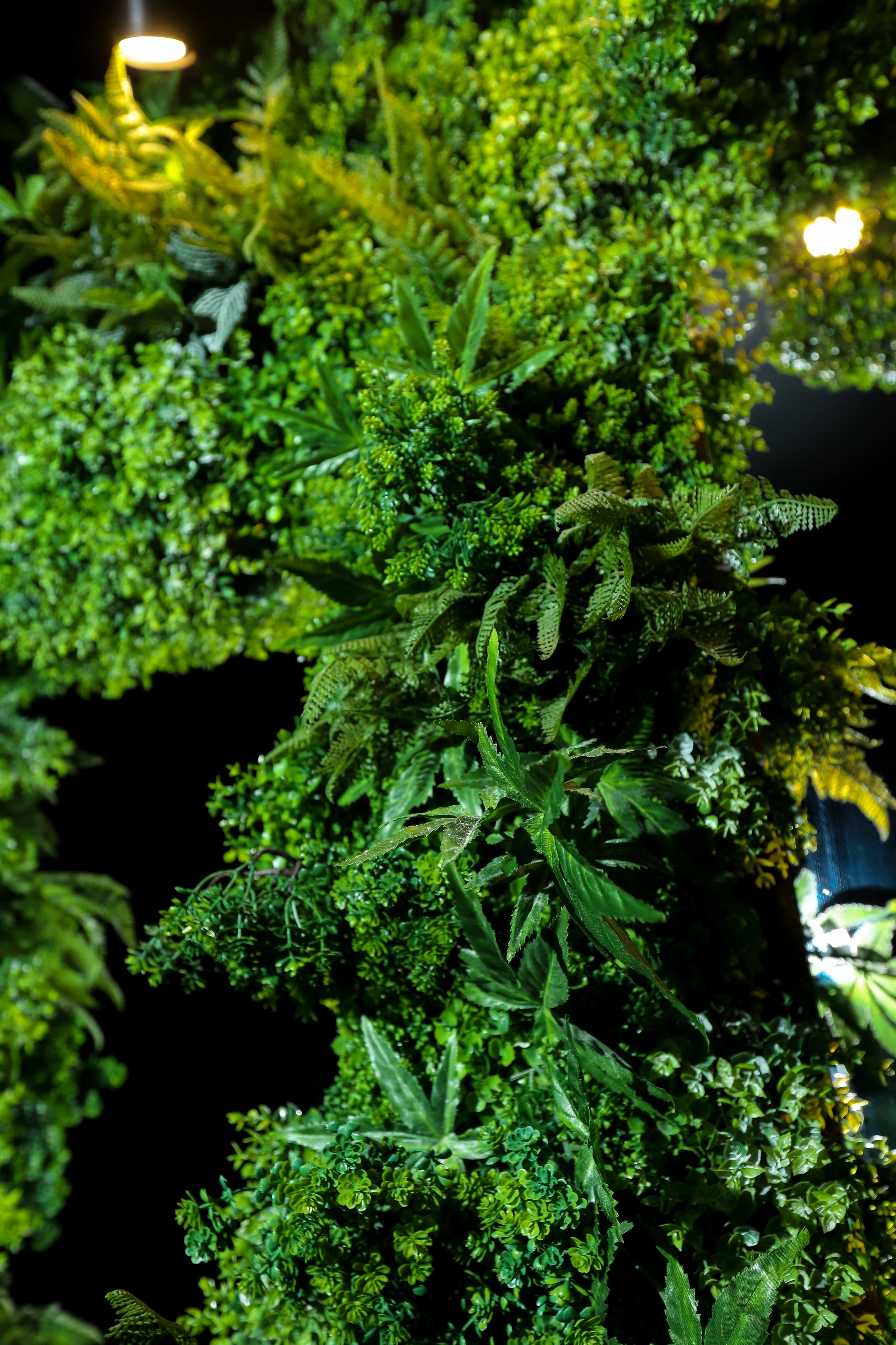 Tony Montana. Фотограф в Краснодаре Анна Светикова