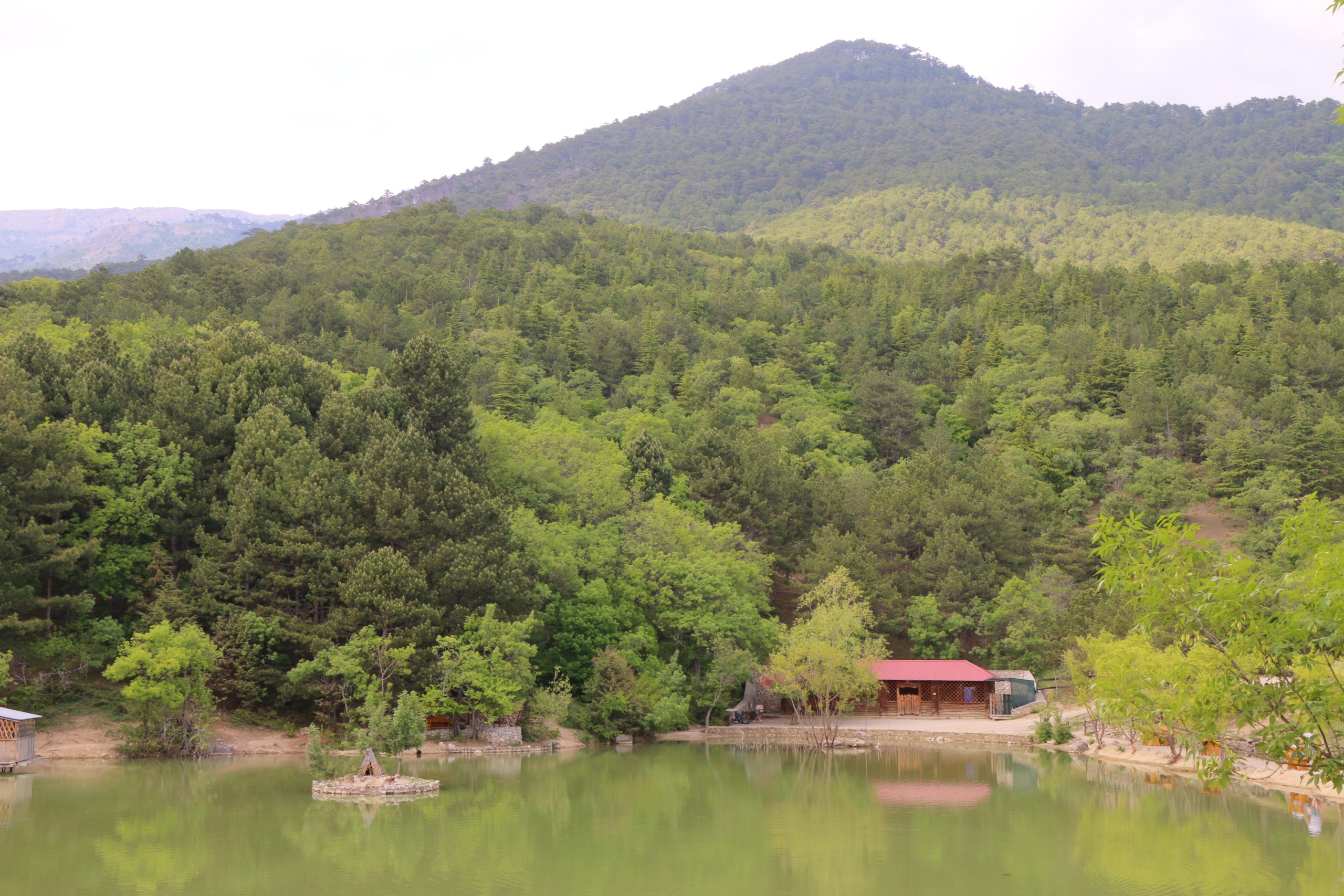 Природа. Семейный и детский фотограф в Ялте Ольга Солерина