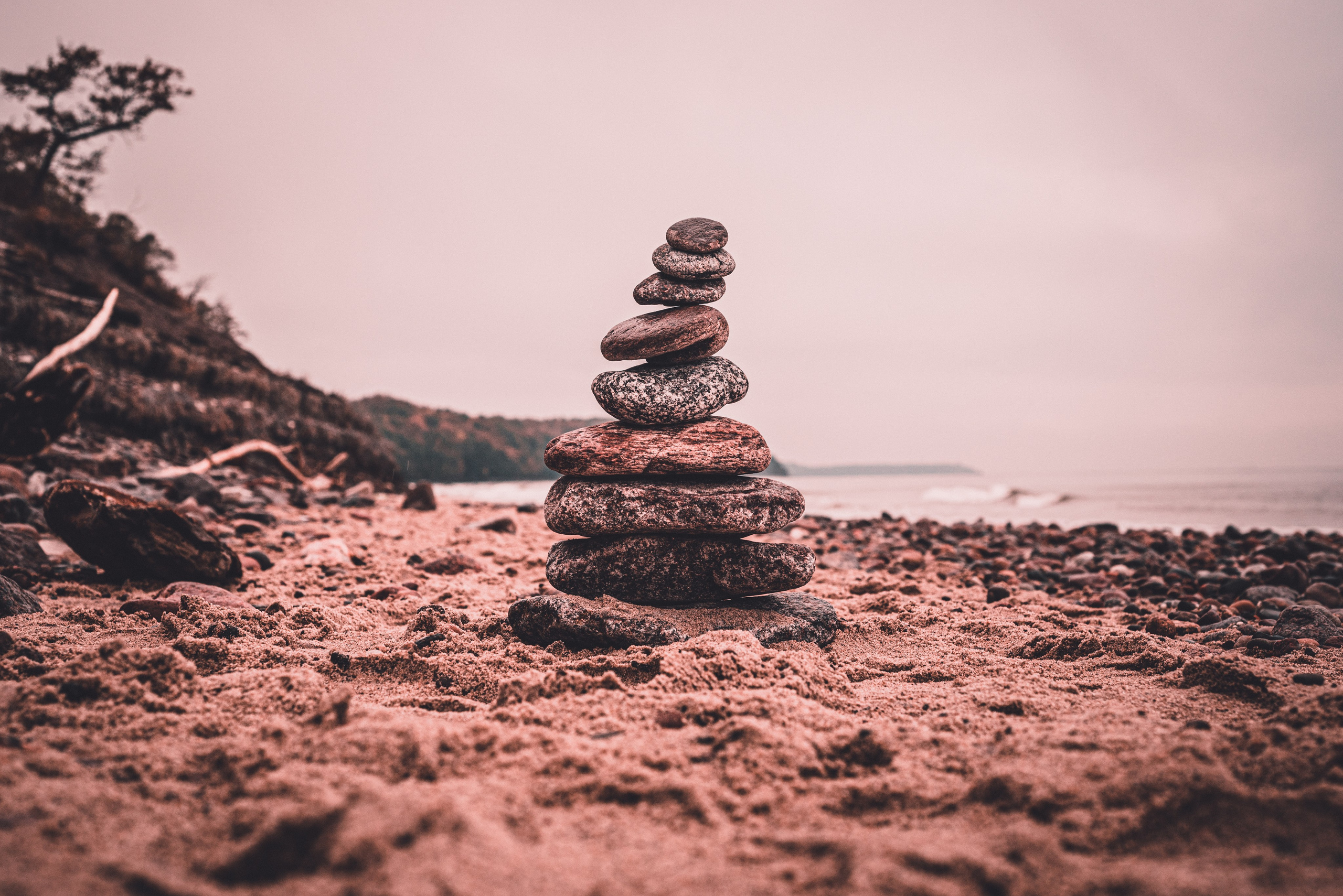 Калининград и его область: через объектив рекламного фотографа из Гуанчжо. Коммерческий и предметный фотограф в Гуанчжоу Коваленко Александр