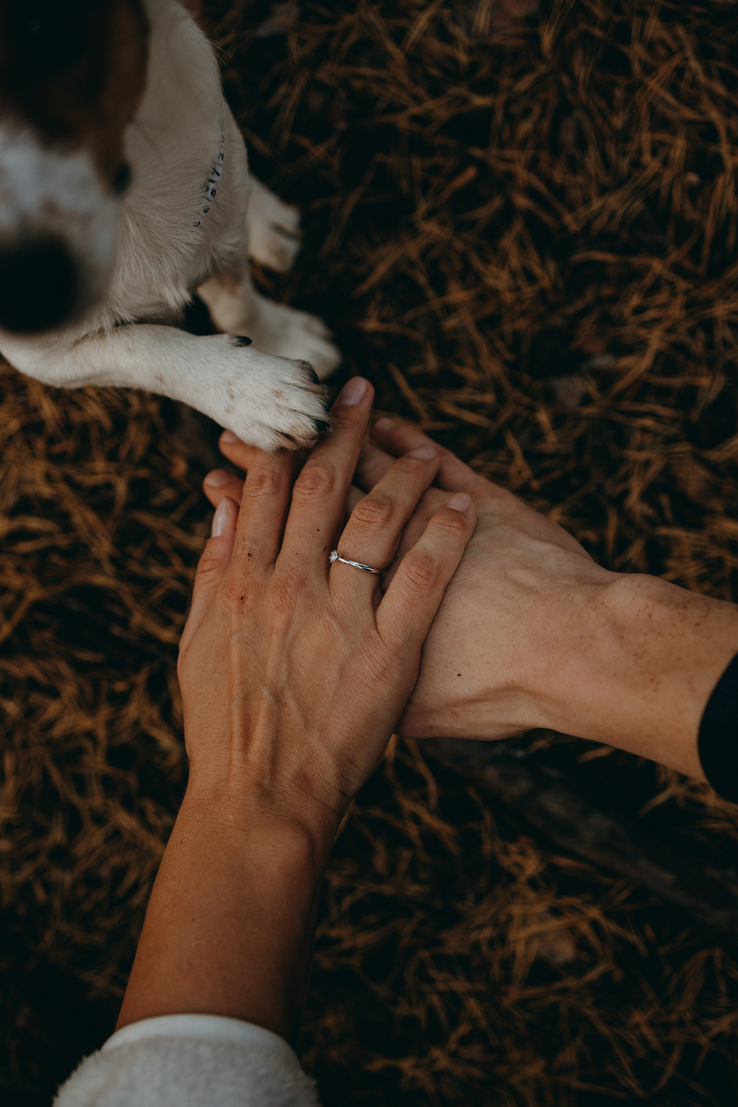 Лея и ее семья. Фотограф — Анималист | Санкт-Петербург