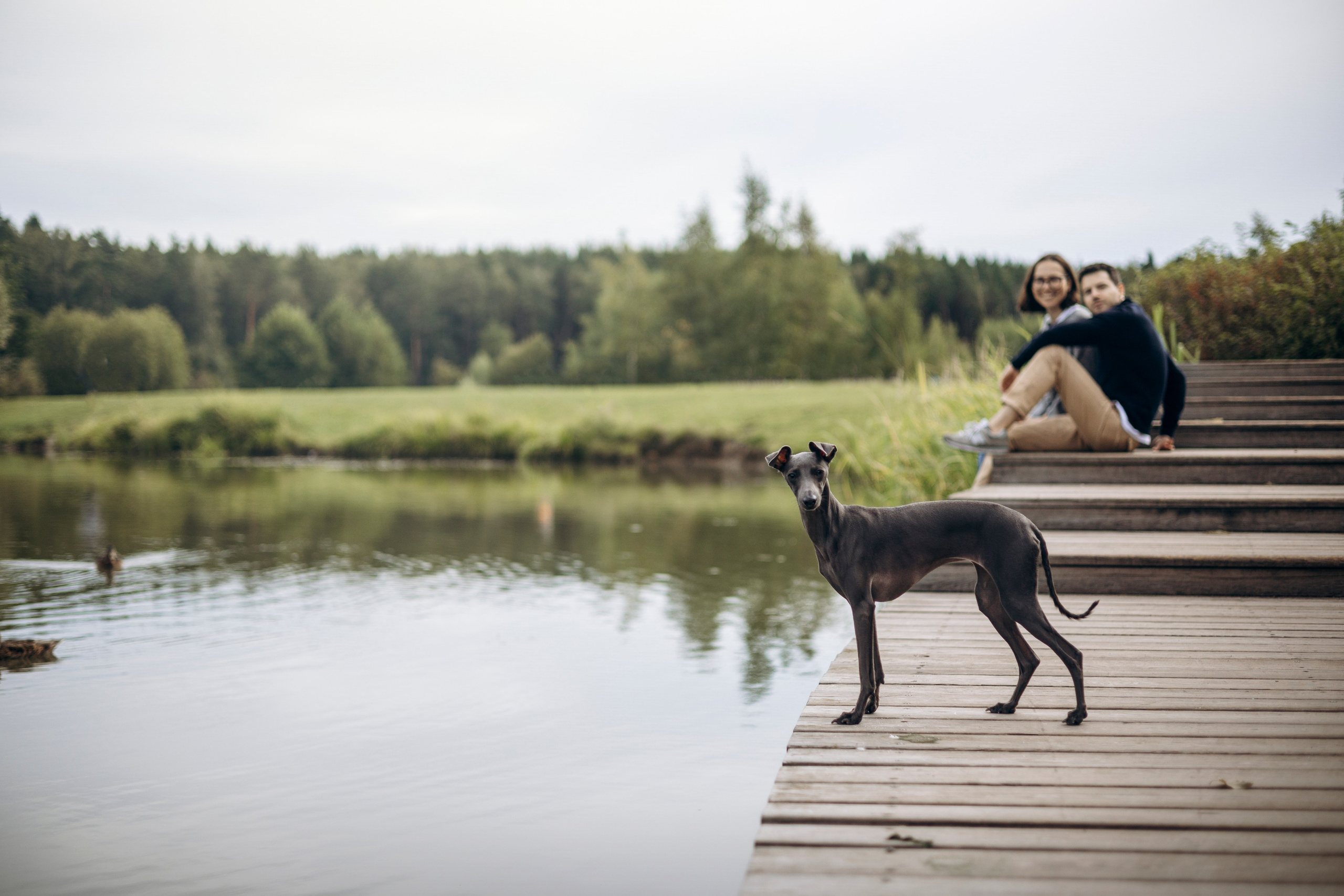 Лучик и ее семья. Фотограф — Анималист | Санкт-Петербург
