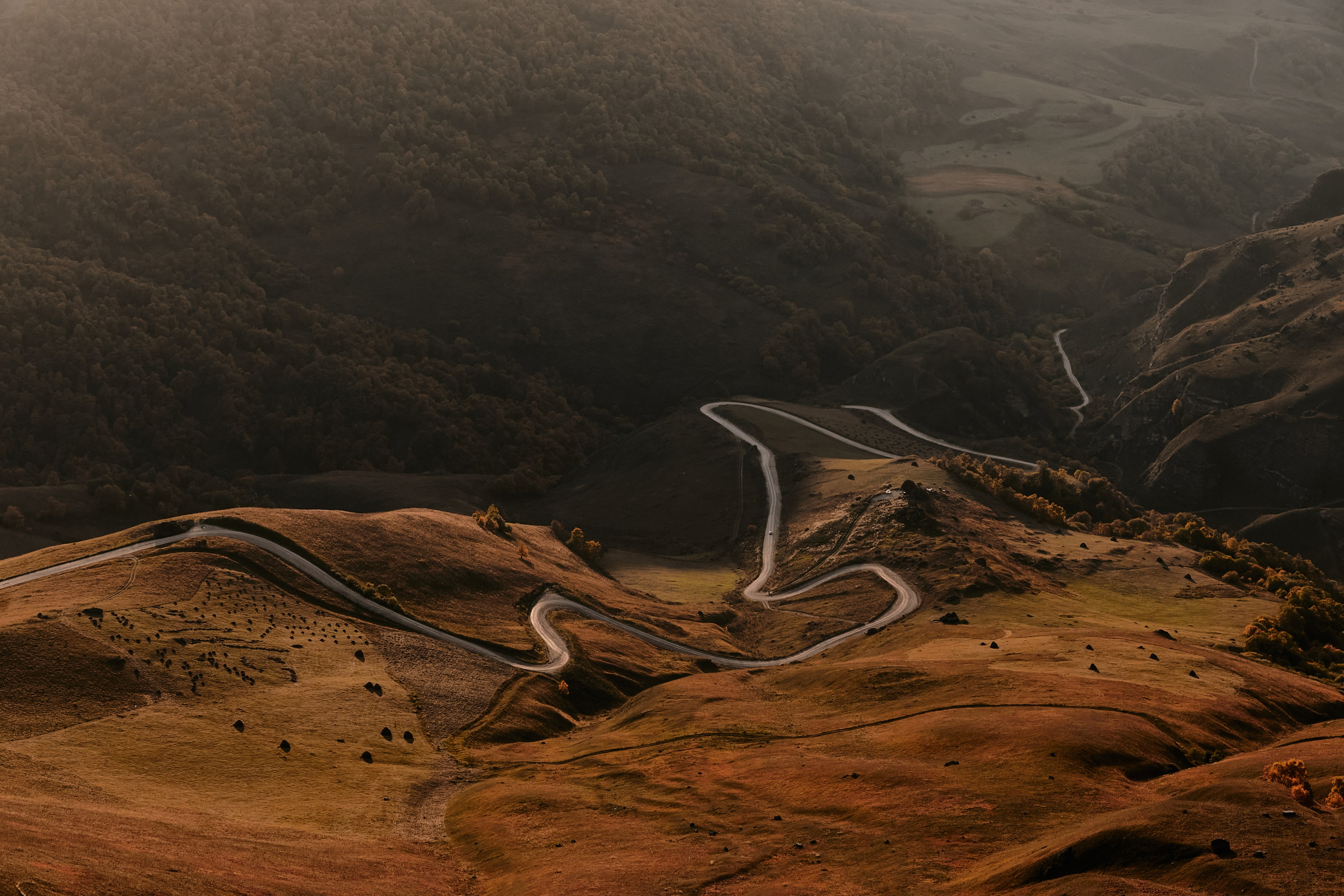 Лха 2500. Фотограф Продюсер в горах КБР / Москва  Нальчик Горы